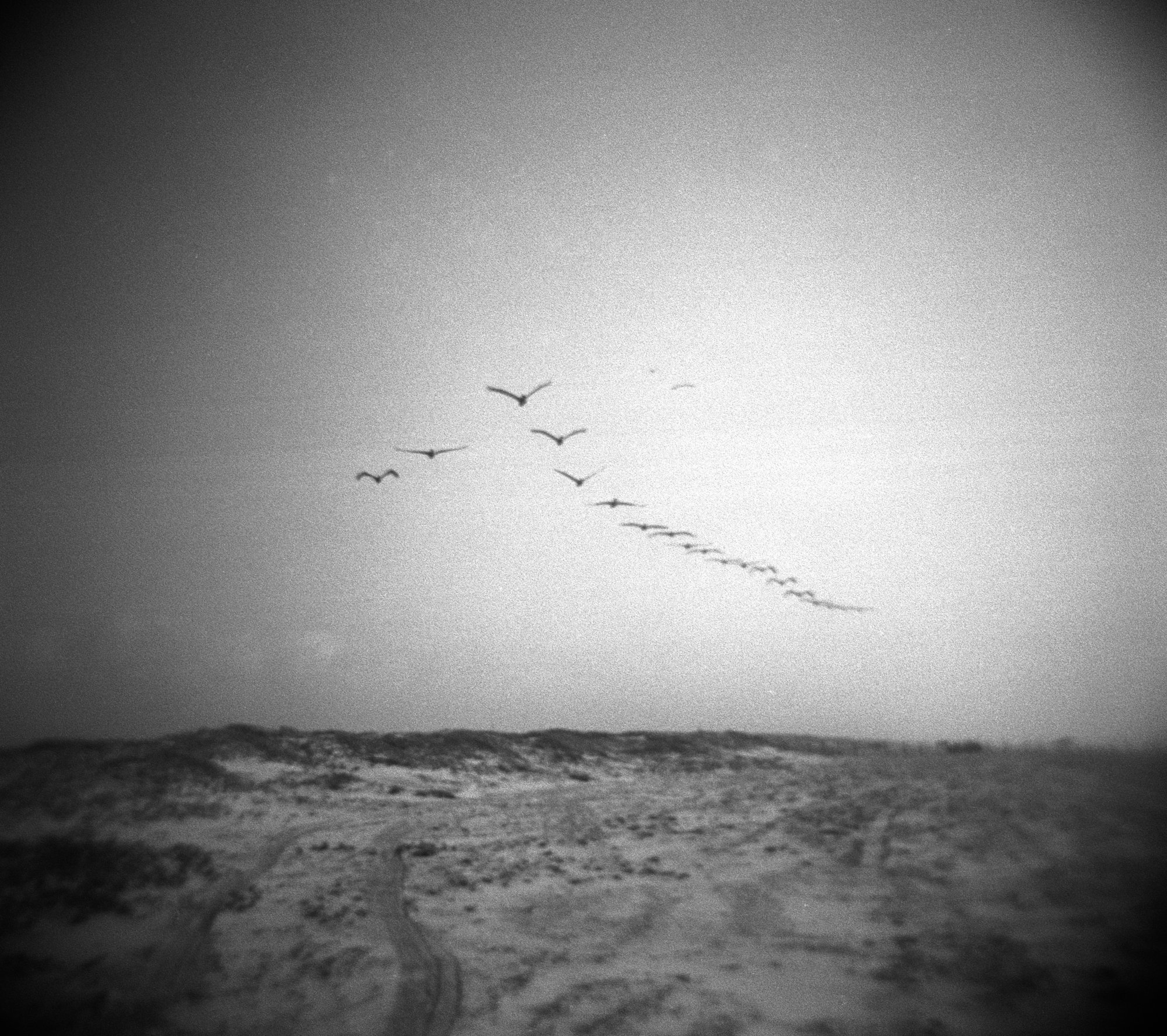 port a 2022 diana  (1 of 6).jpg