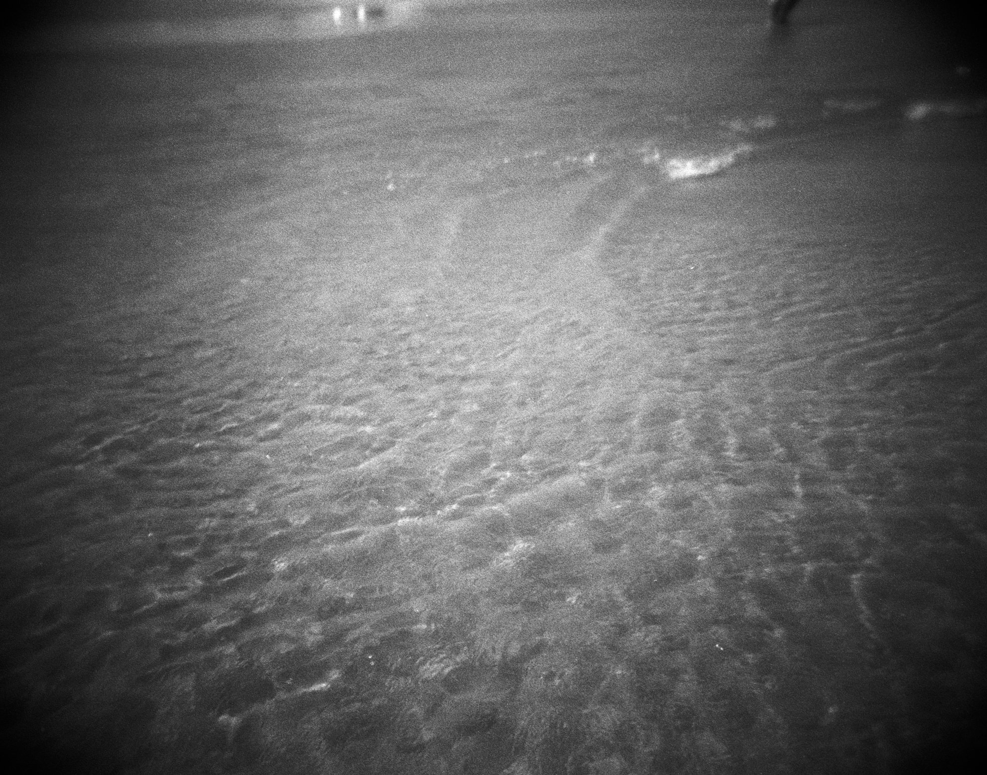 port a 2022 diana  (5 of 6).jpg