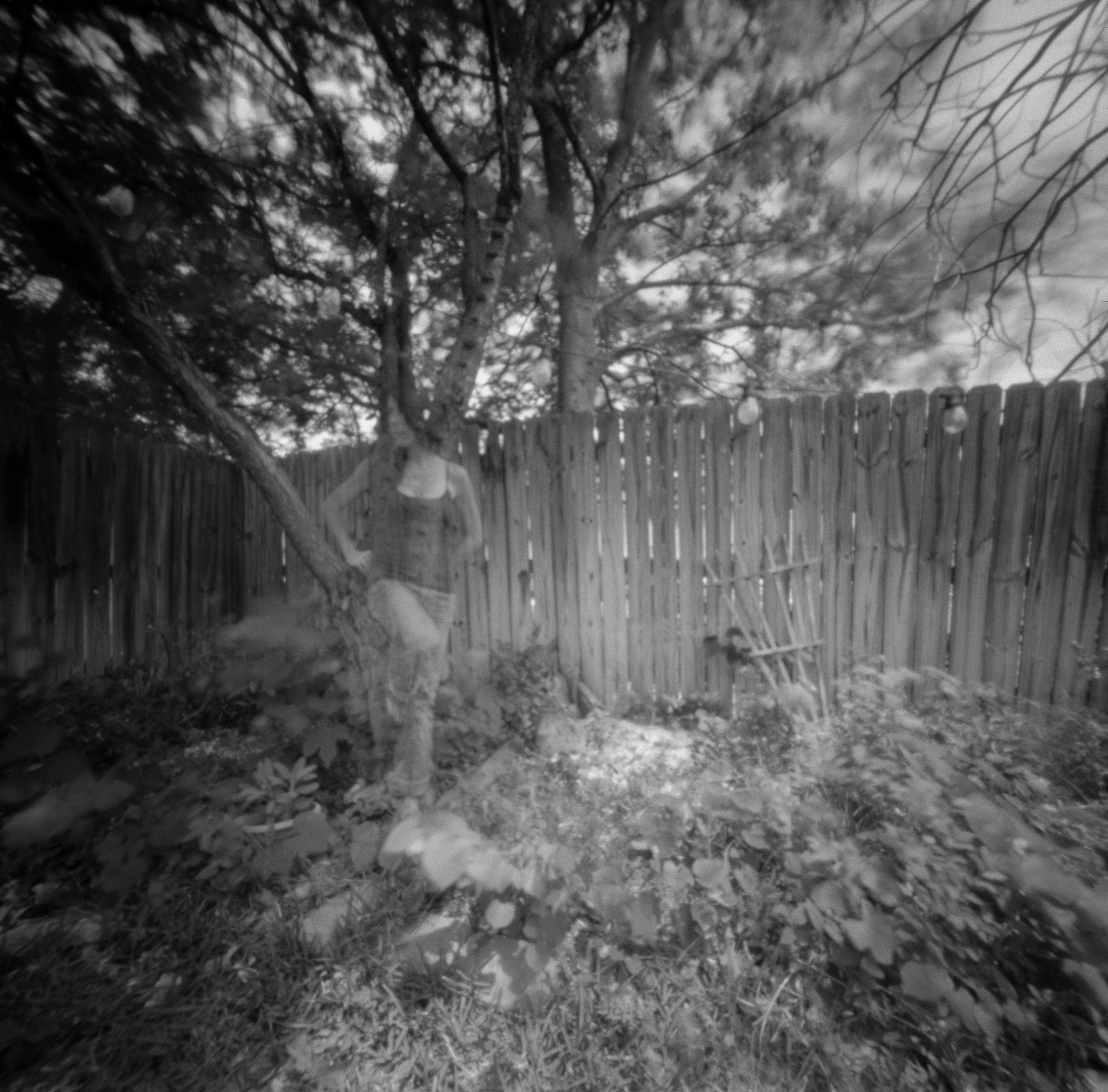 self pinhole winter 2022 (3 of 3).jpg