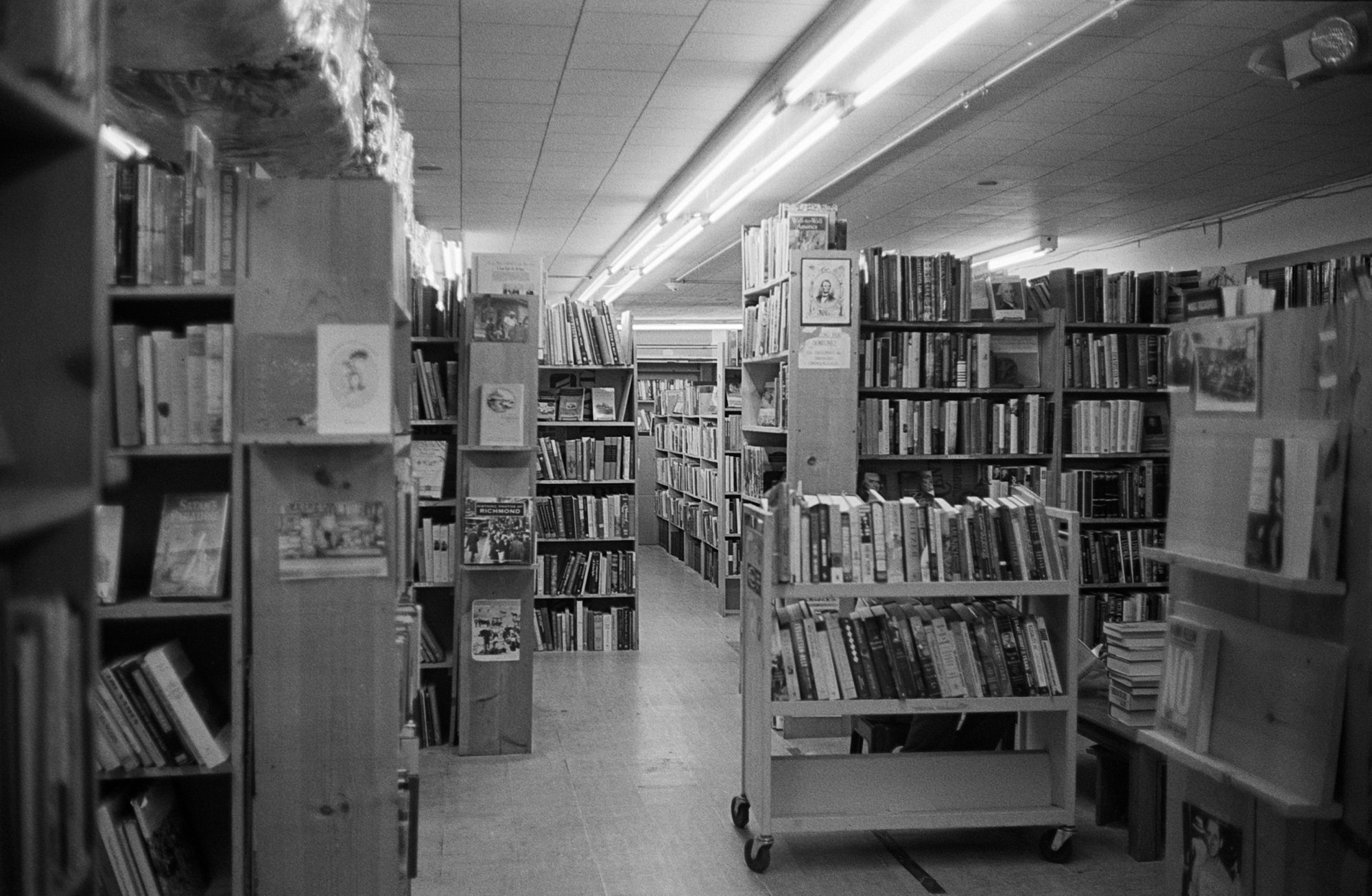 denton  (16 of 16).jpg