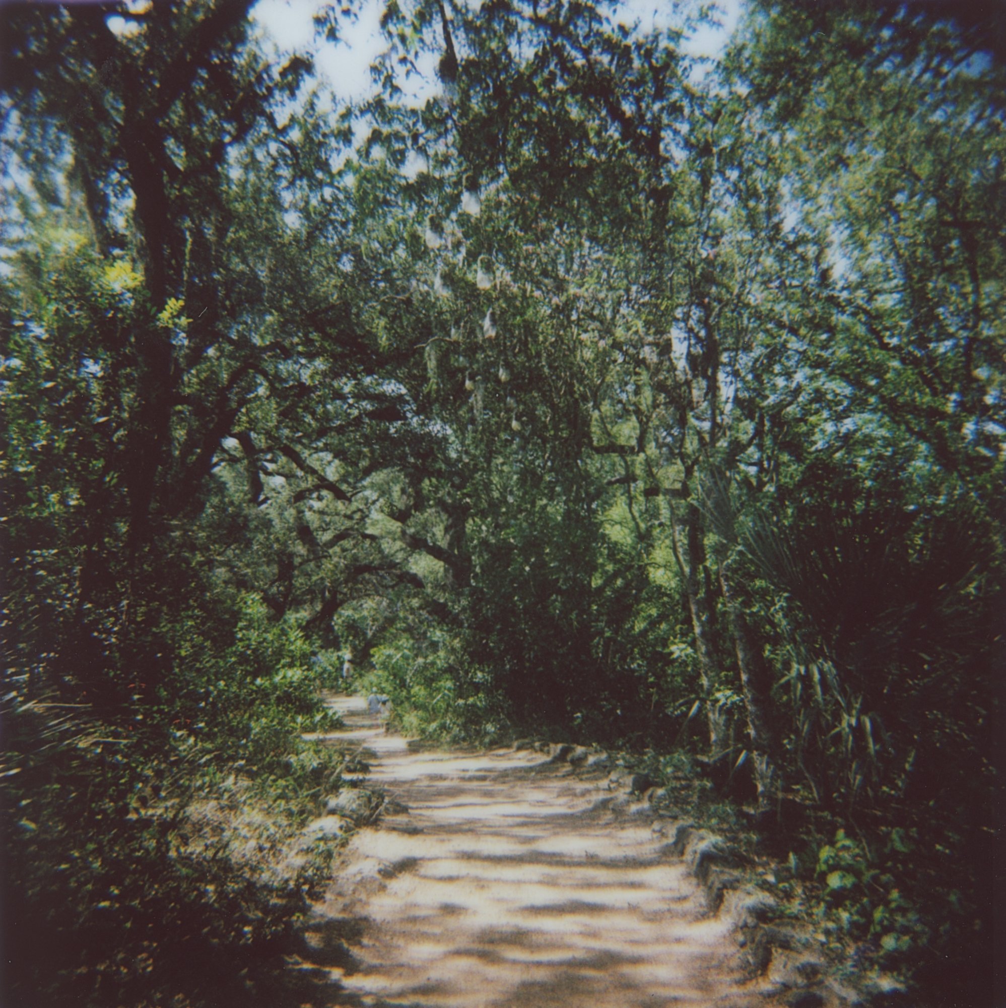 laguna gloria diana instax square sept 2022  (2 of 17).jpg