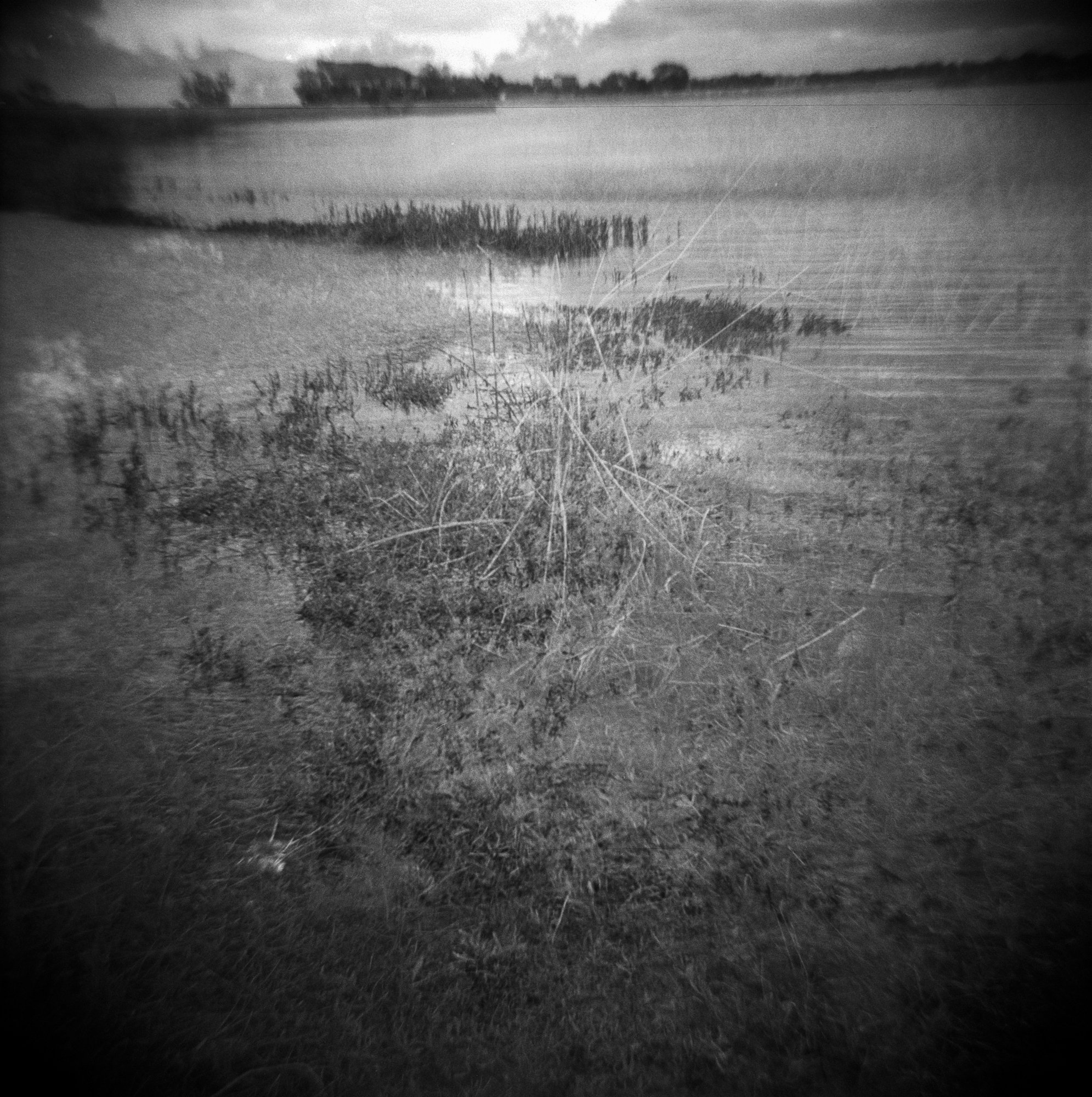 Neighborhood Halloween 2022  (10 of 12).jpg