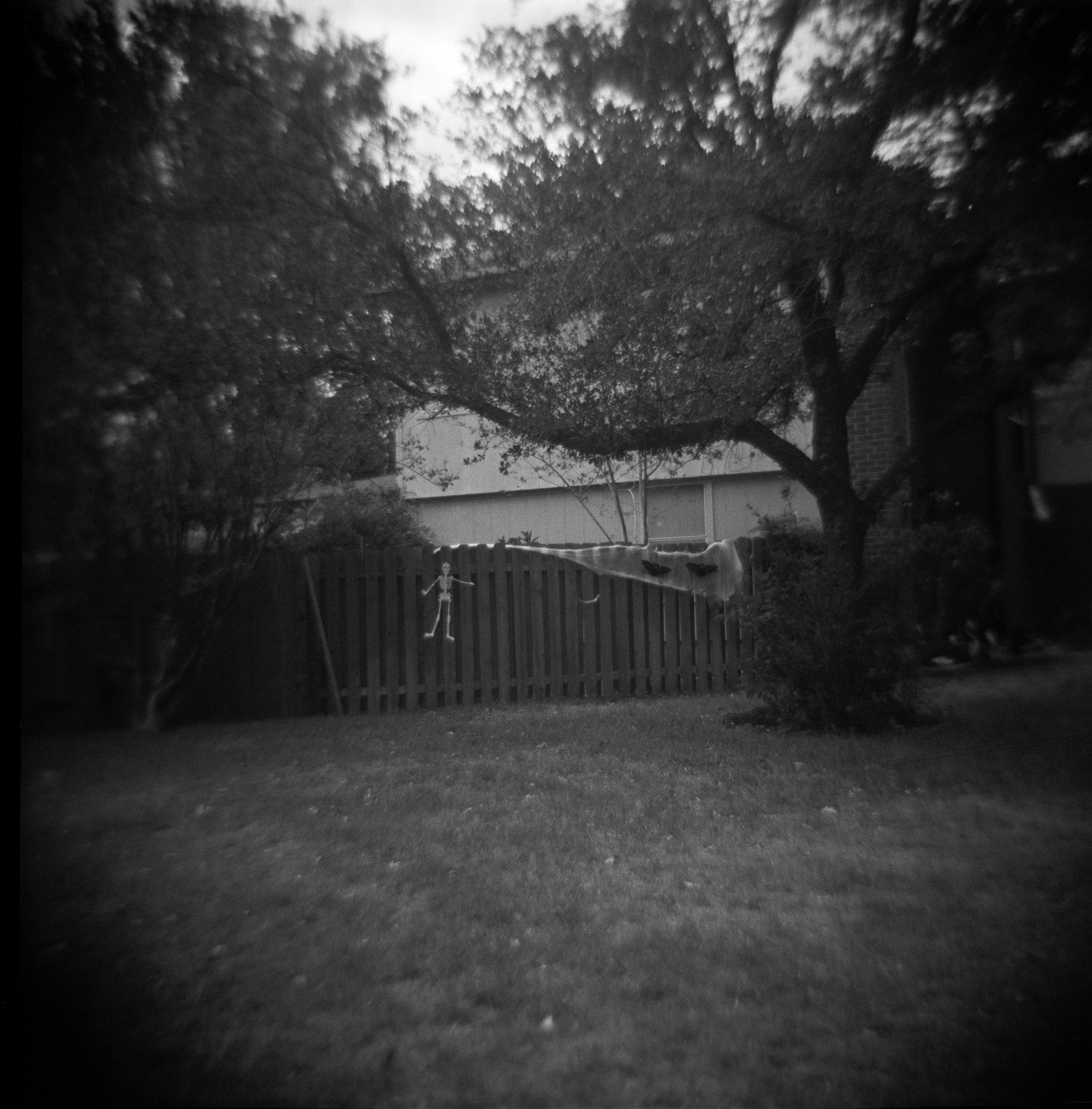 Neighborhood Halloween 2022  (7 of 12).jpg