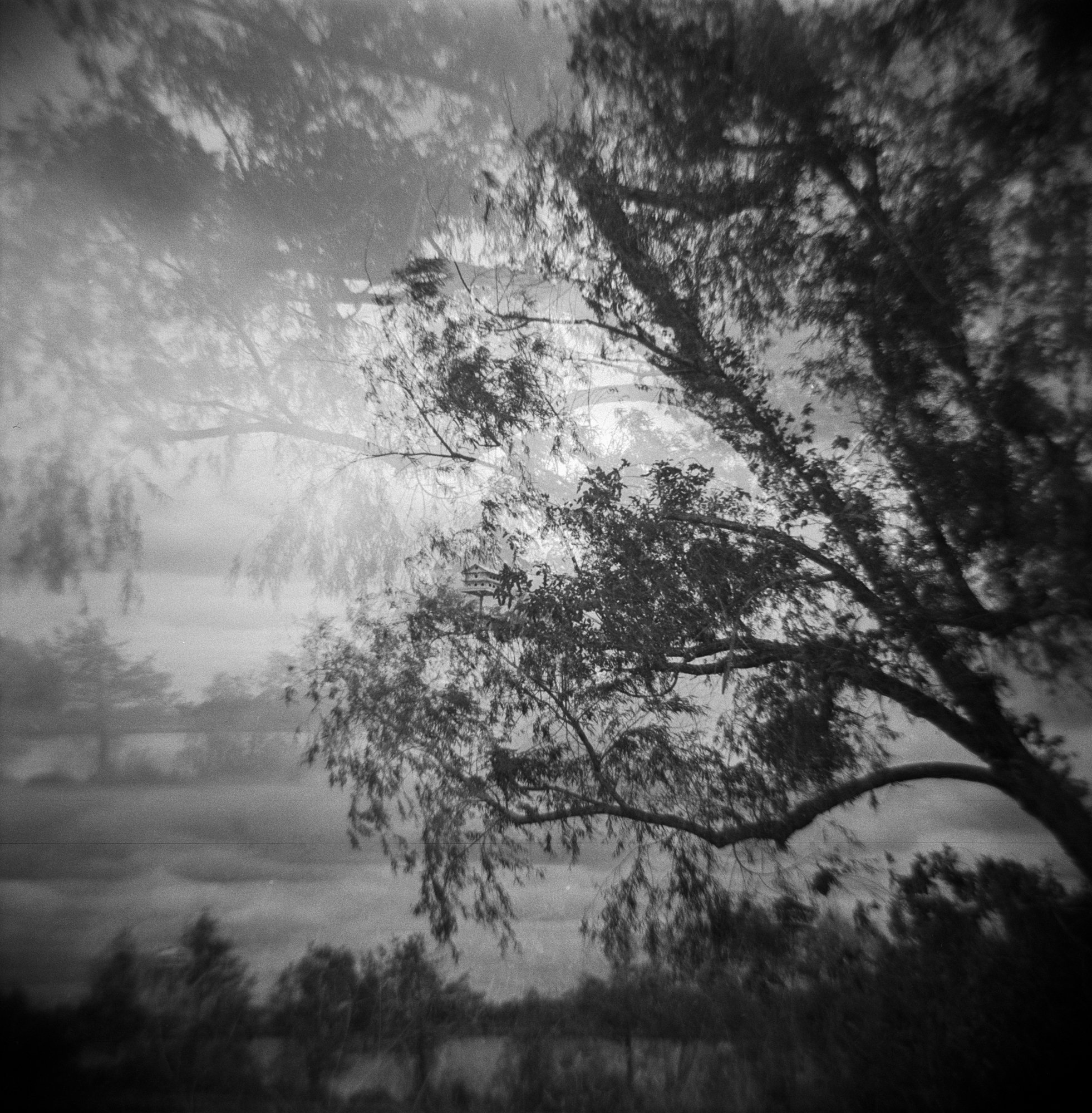 Neighborhood Halloween 2022  (8 of 12).jpg