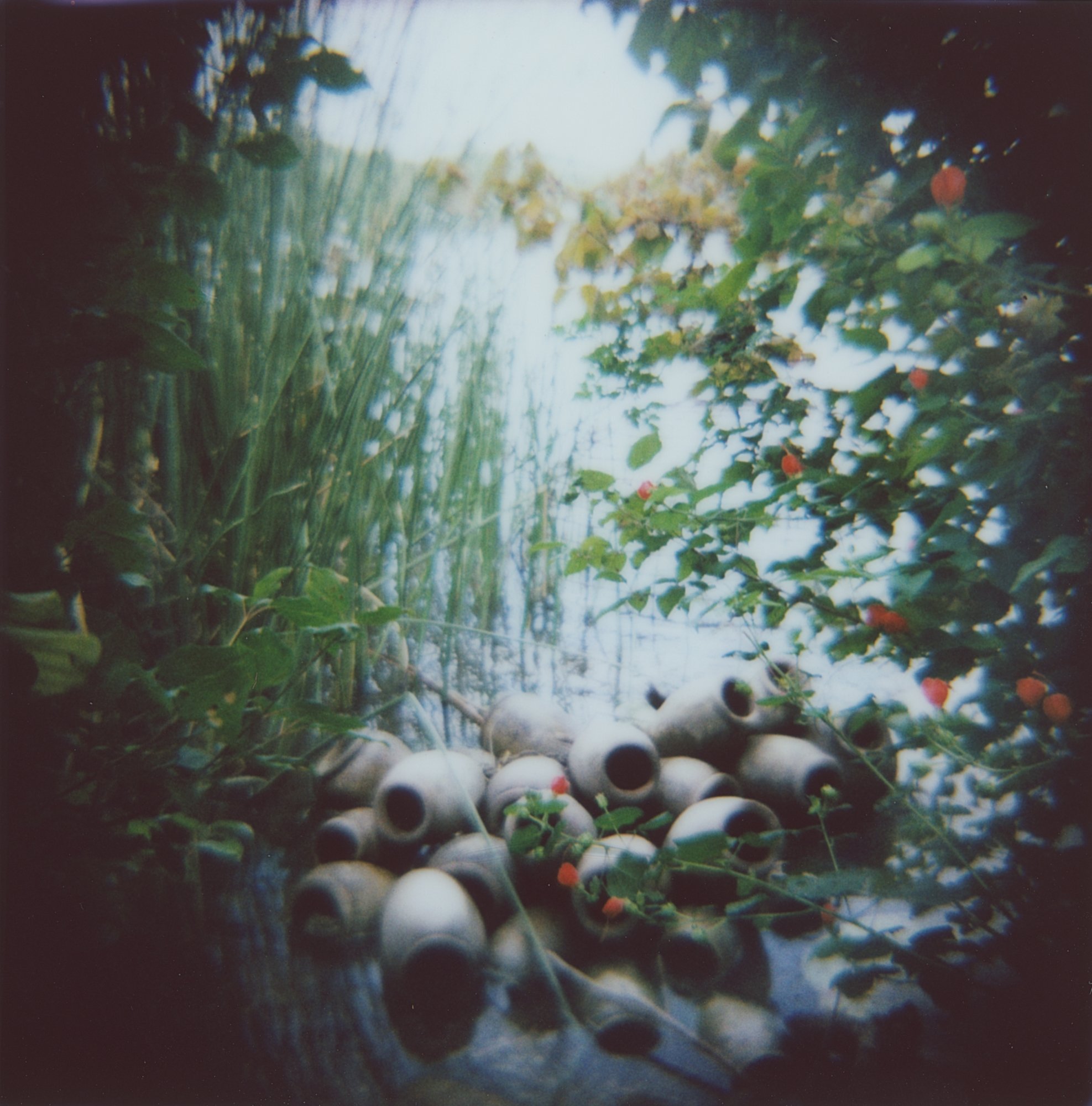 laguna gloria diana instax square sept 2022  (10 of 17).jpg