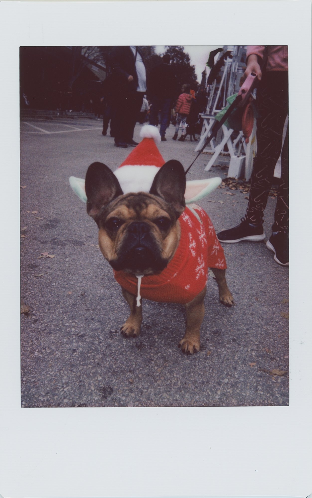 georgetown xmas strol 2022 (2 of 20).jpg