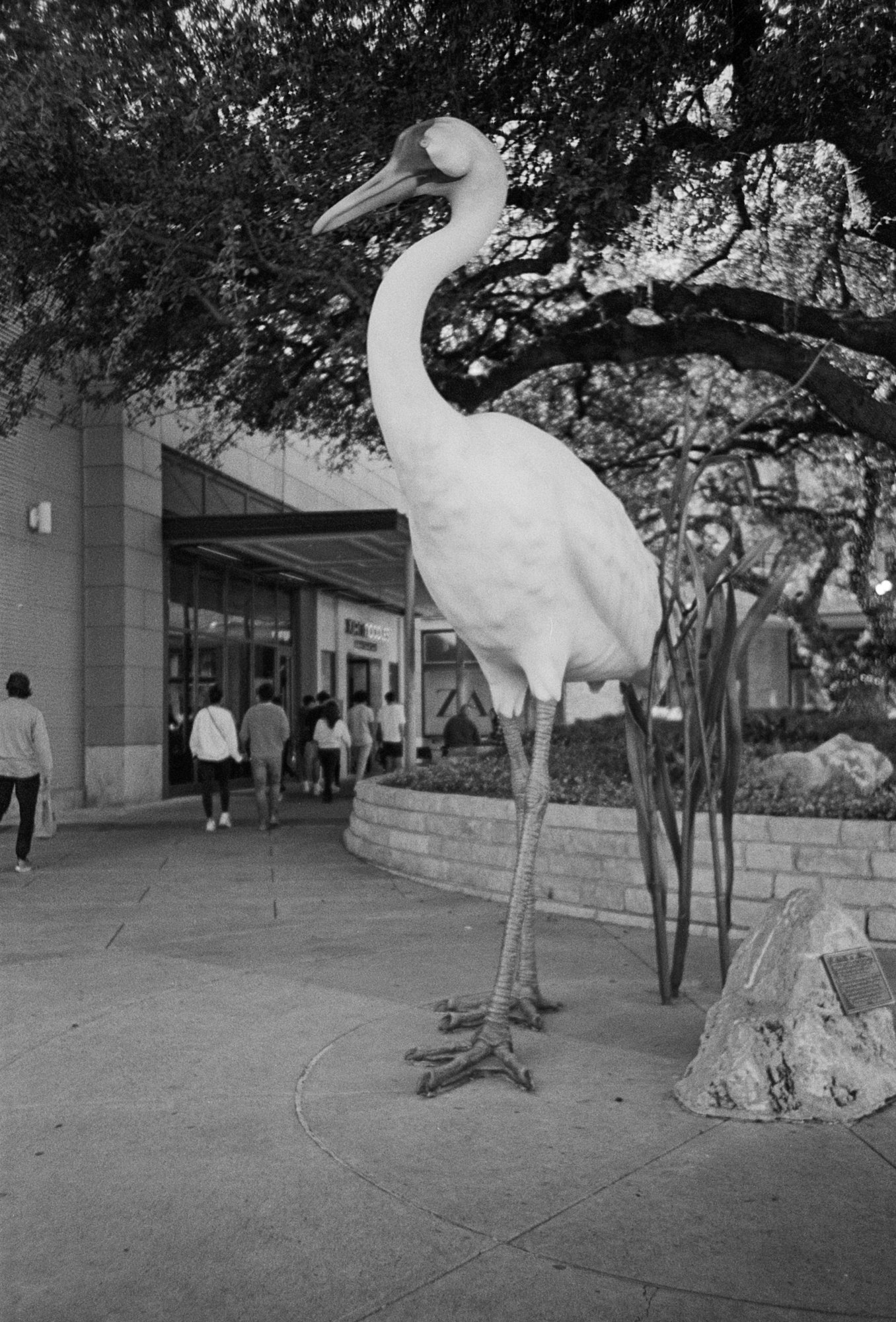 LOMO LCA trix domain jan 2023 (170 of 21).jpg