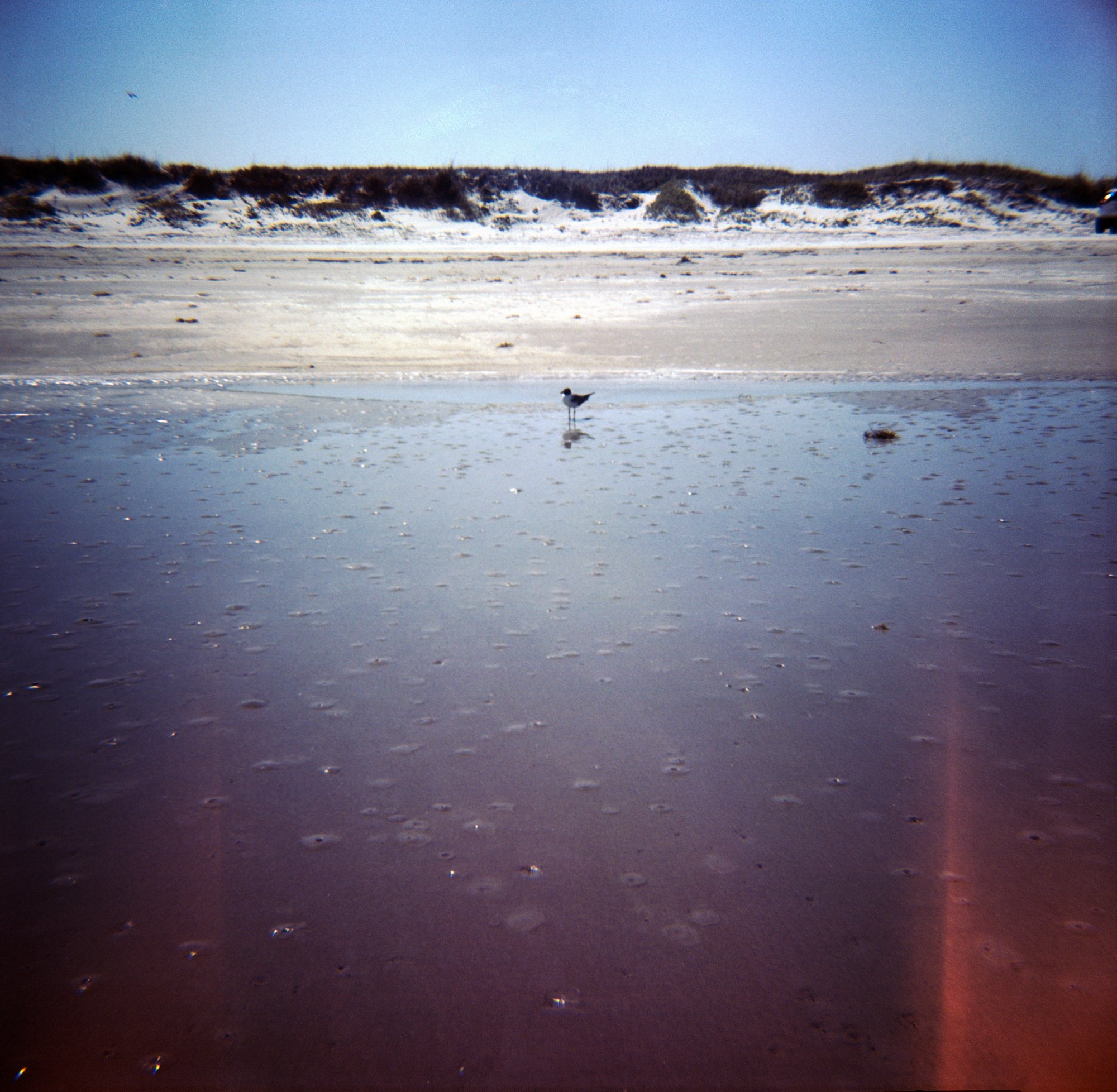 port aransas beach diana portra 160 (9 of 12).jpg