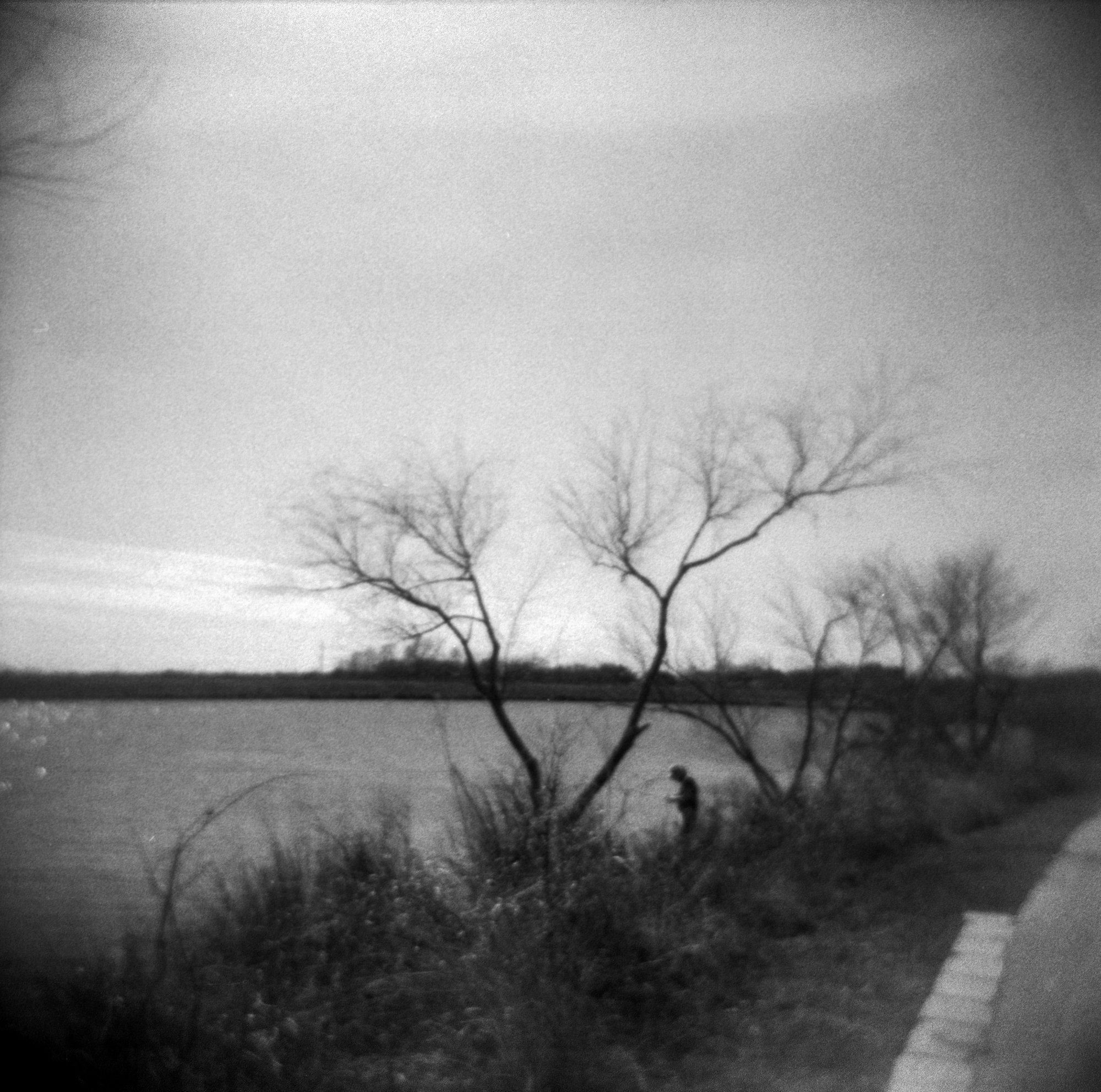 frugal film project 2023 jan (179 of 12).jpg