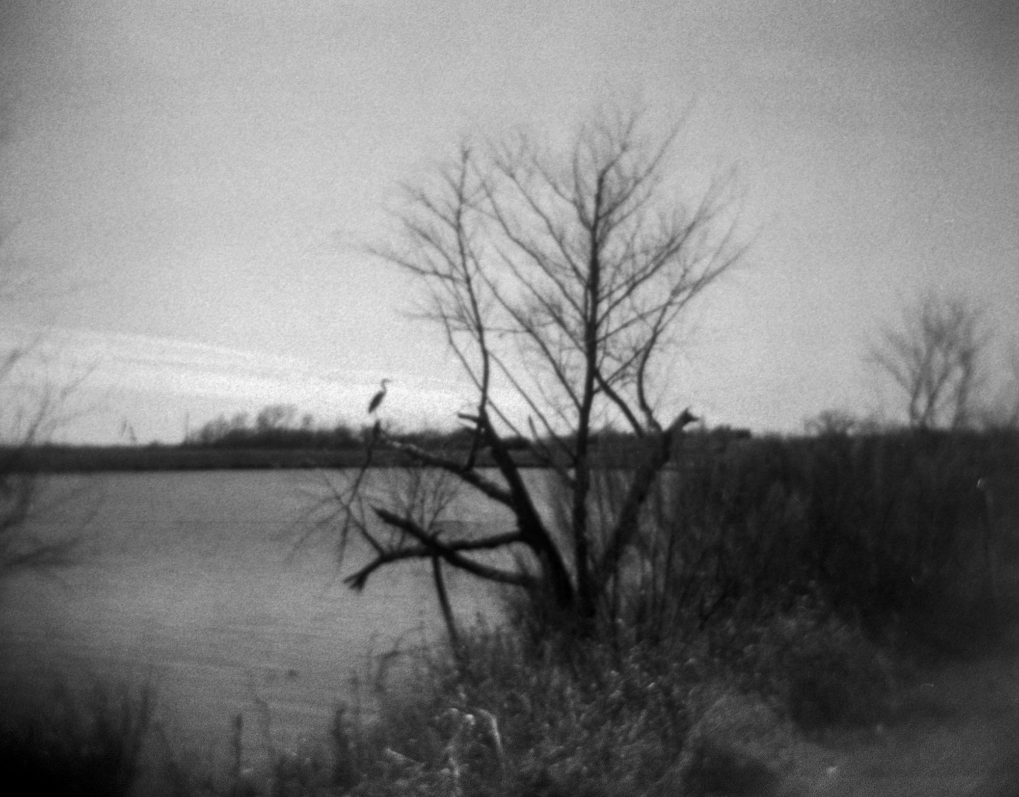 frugal film project 2023 jan (178 of 12).jpg