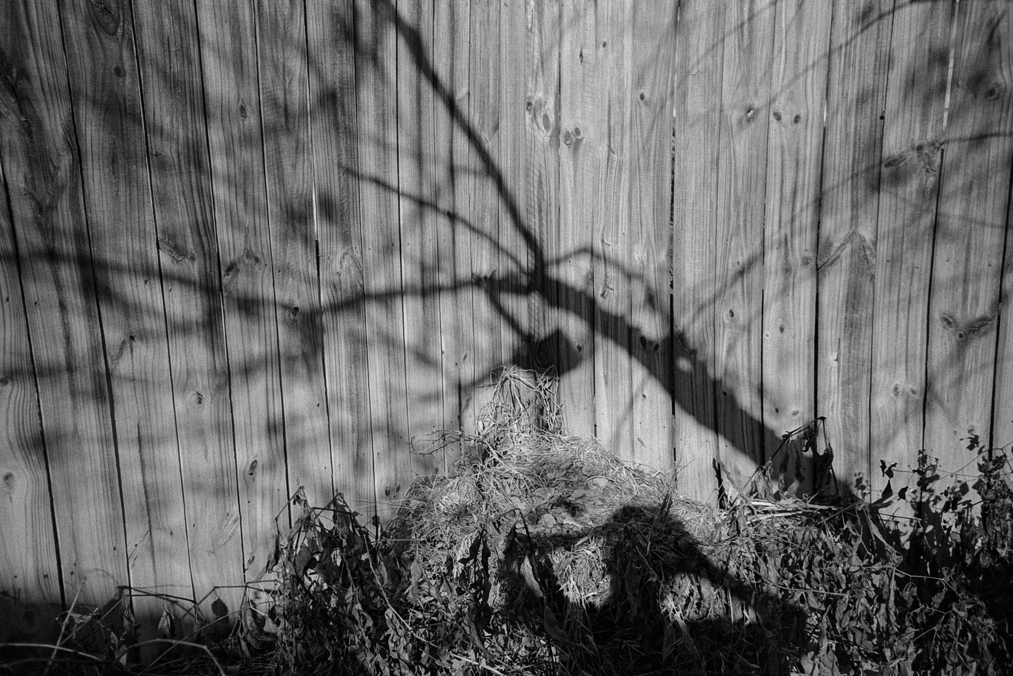 lomo lca test roll  (167 of 2).jpg