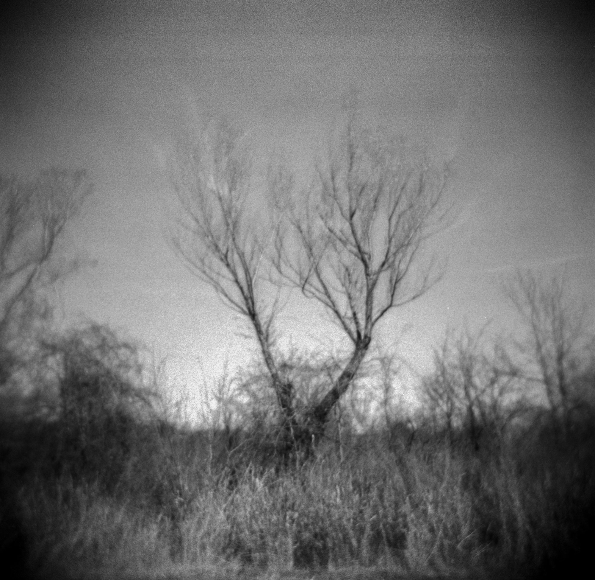 frugal film project 2023 jan (175 of 12).jpg