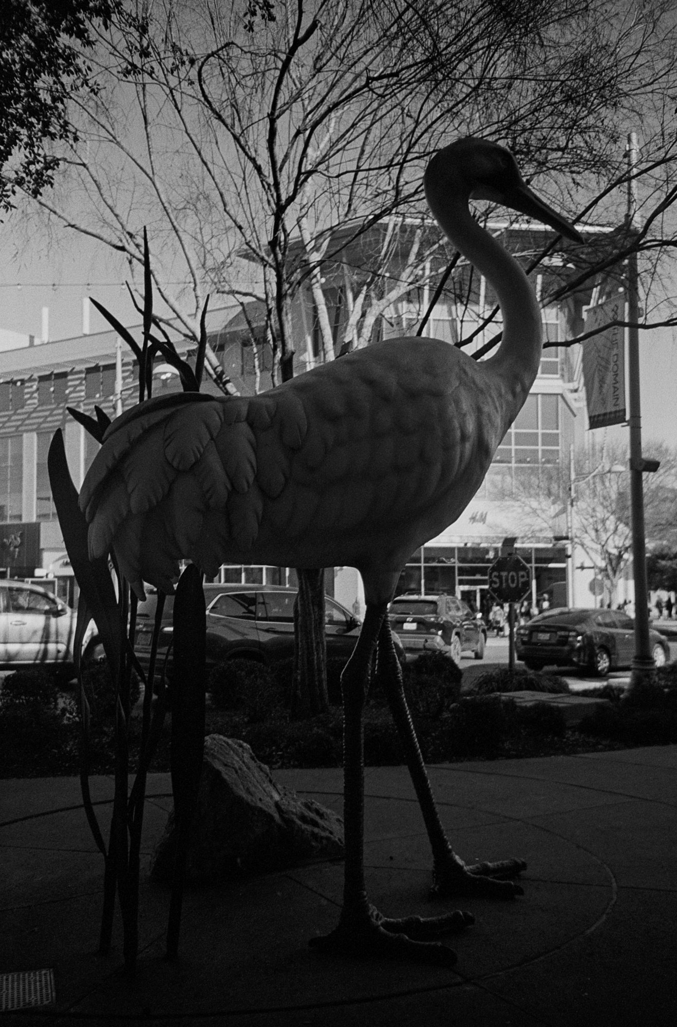 LOMO LCA trix domain jan 2023 (171 of 21).jpg