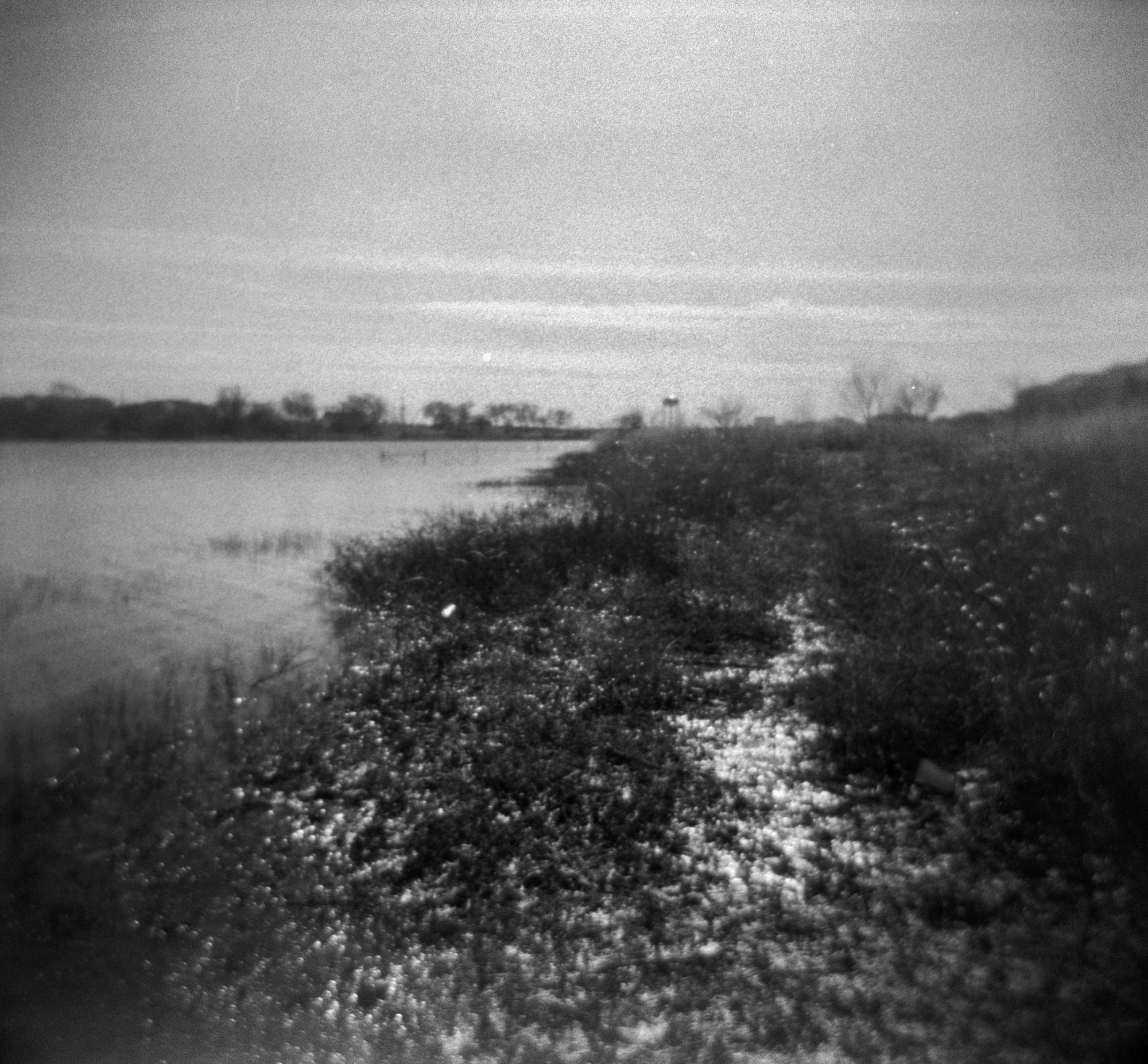 frugal film project 2023 jan (170 of 12).jpg