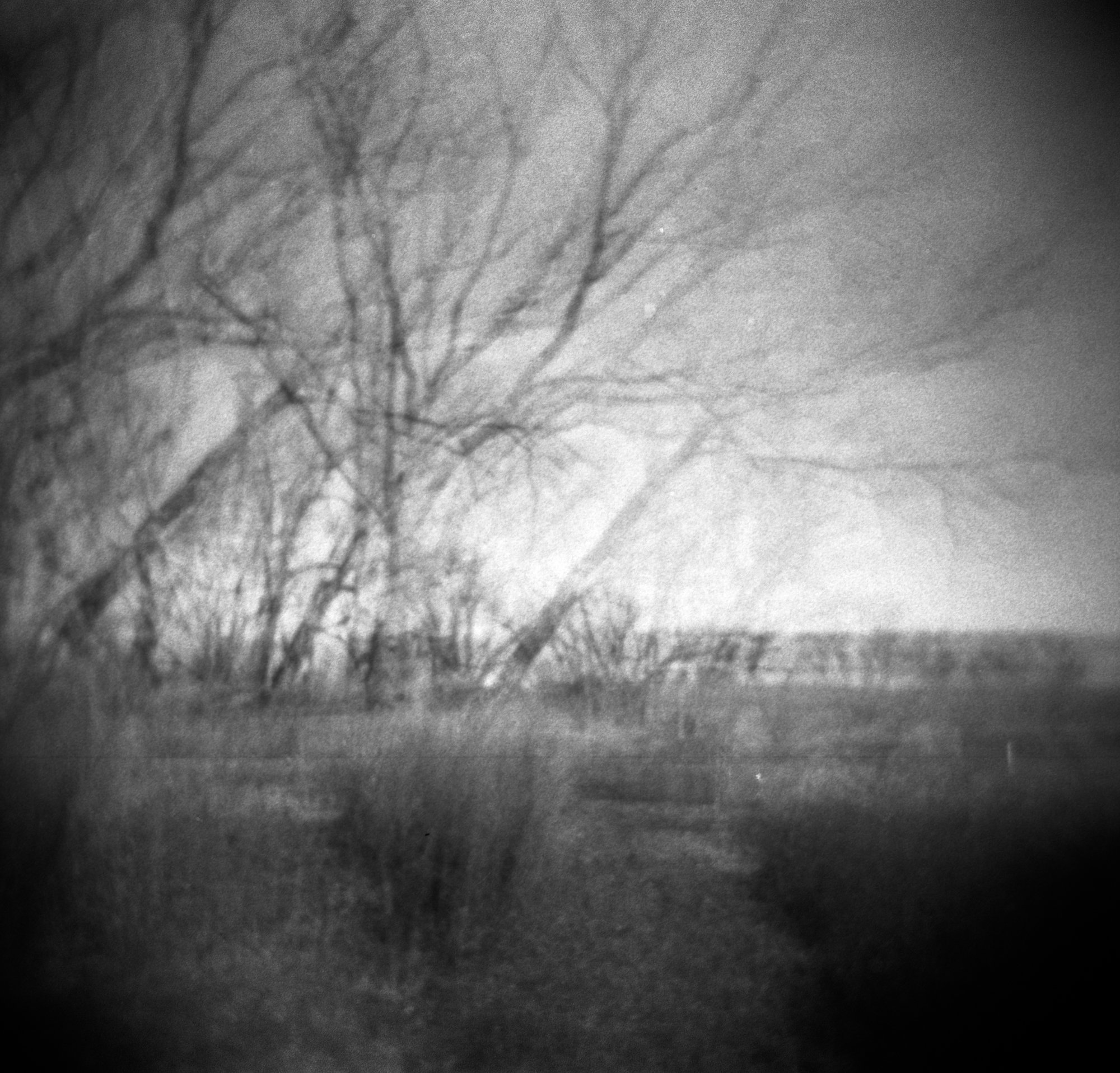 frugal film project 2023 jan (172 of 12).jpg