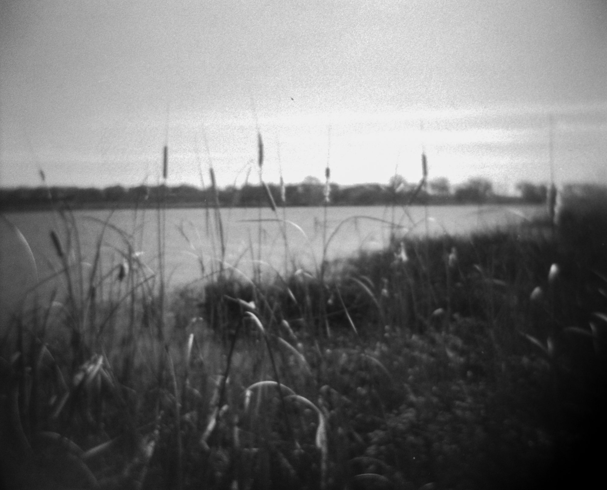 frugal film project 2023 jan (177 of 12).jpg