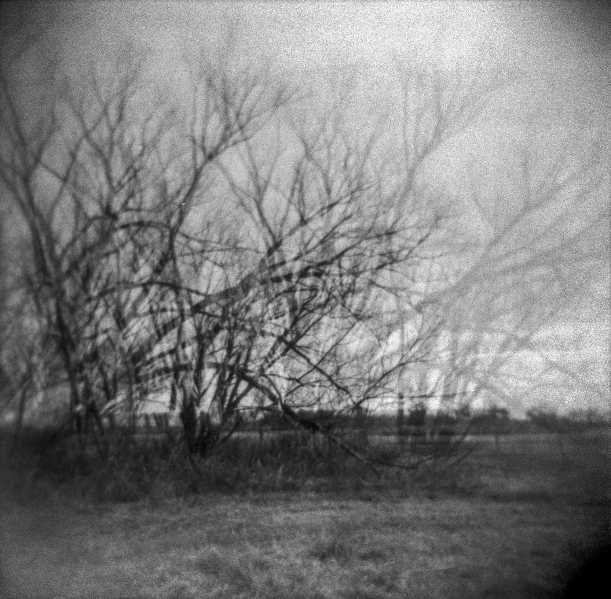 frugal film project 2023 jan (176 of 12).jpg