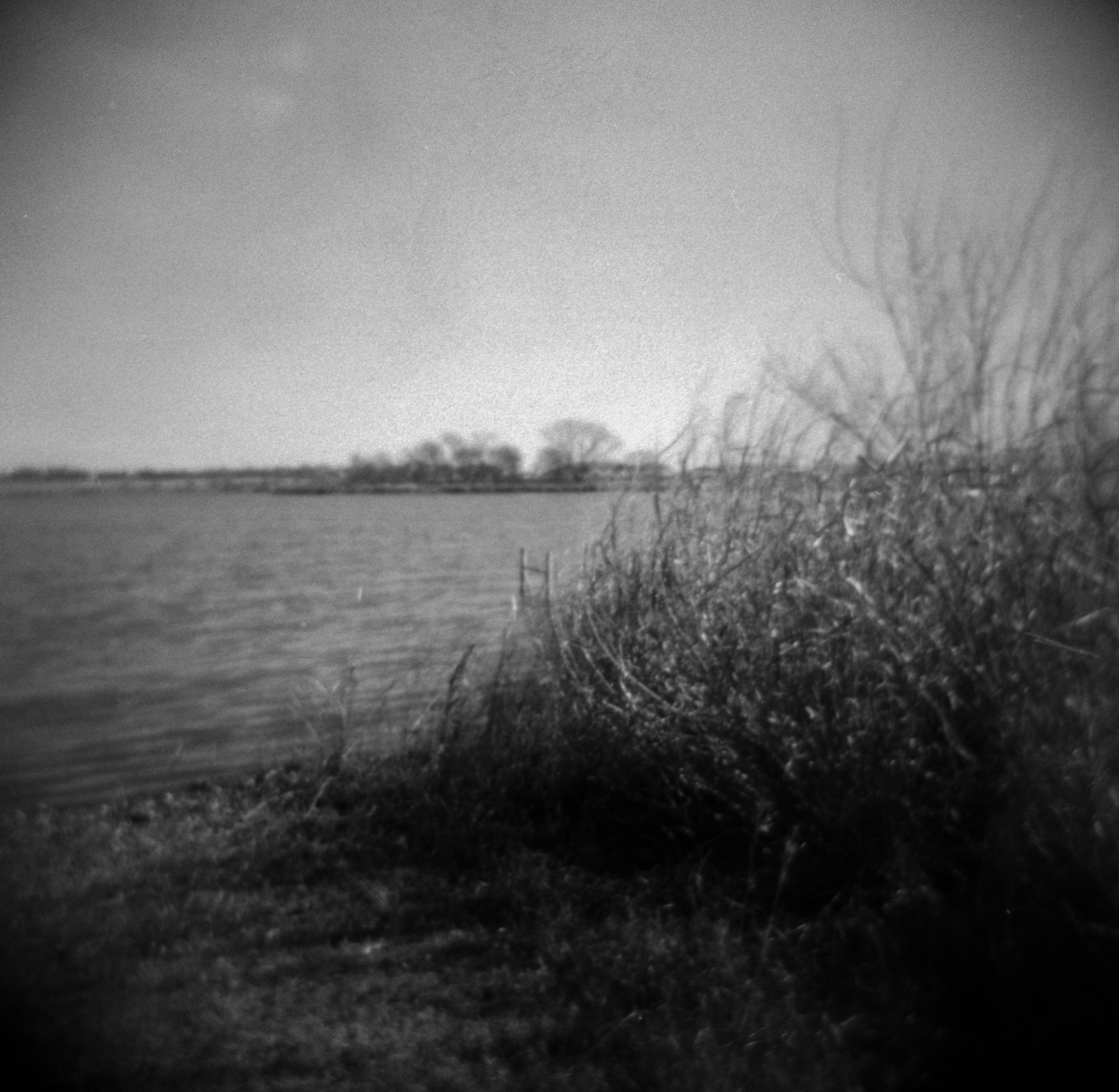 frugal film project 2023 jan (171 of 12).jpg