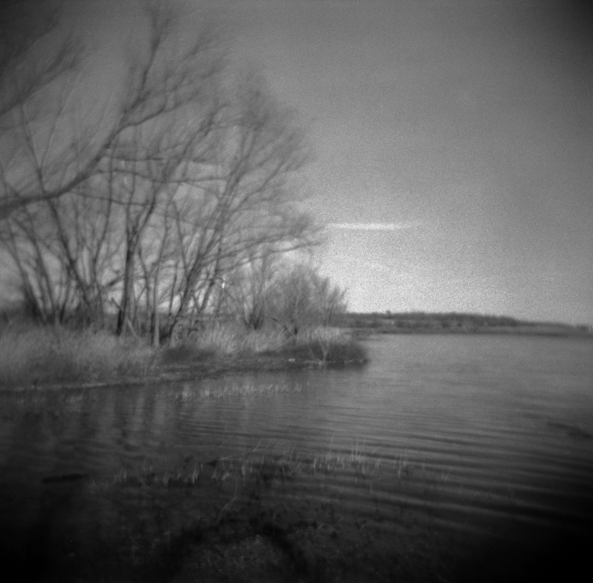 frugal film project 2023 jan (173 of 12).jpg