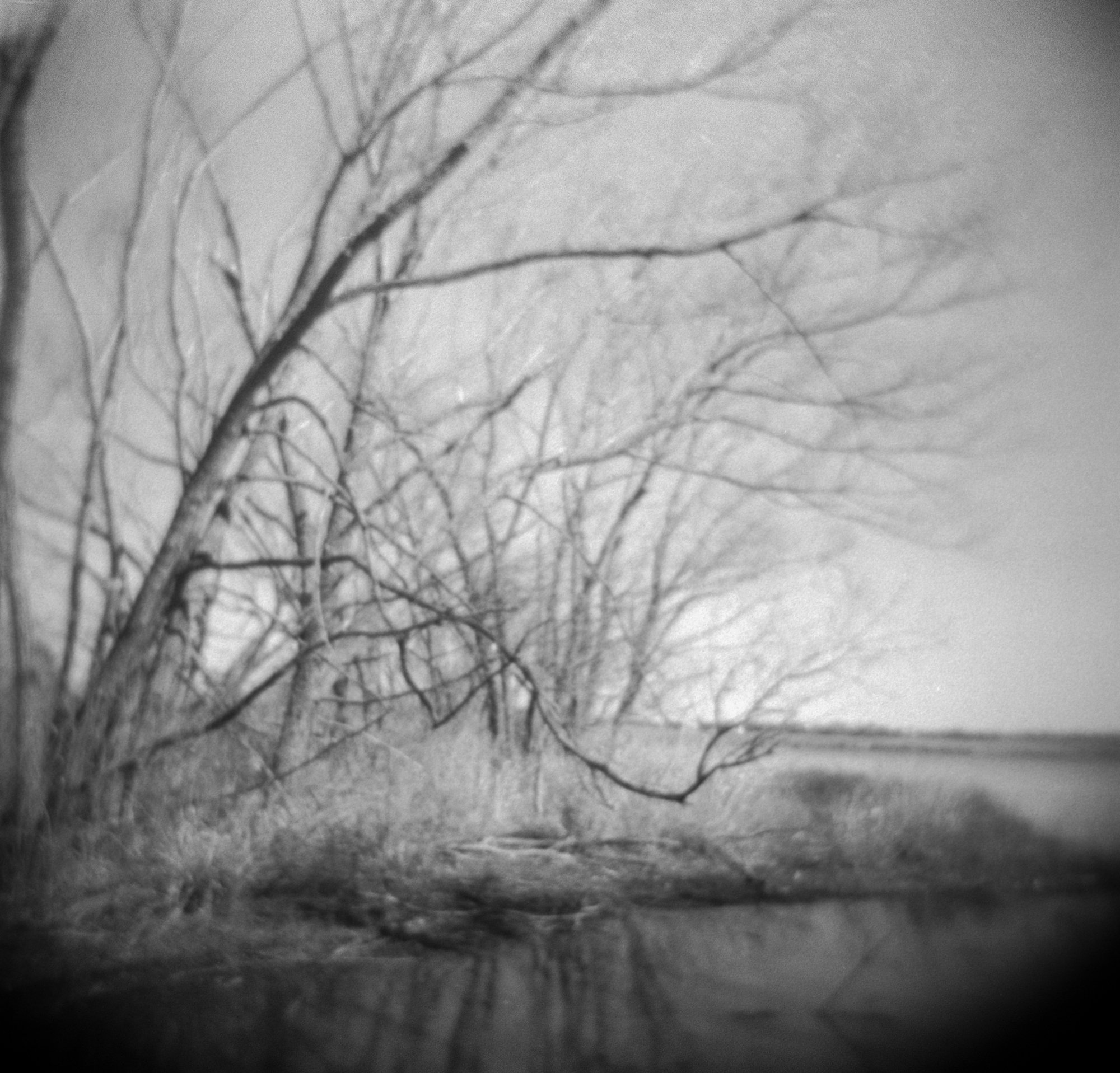 frugal film project 2023 jan (169 of 12).jpg