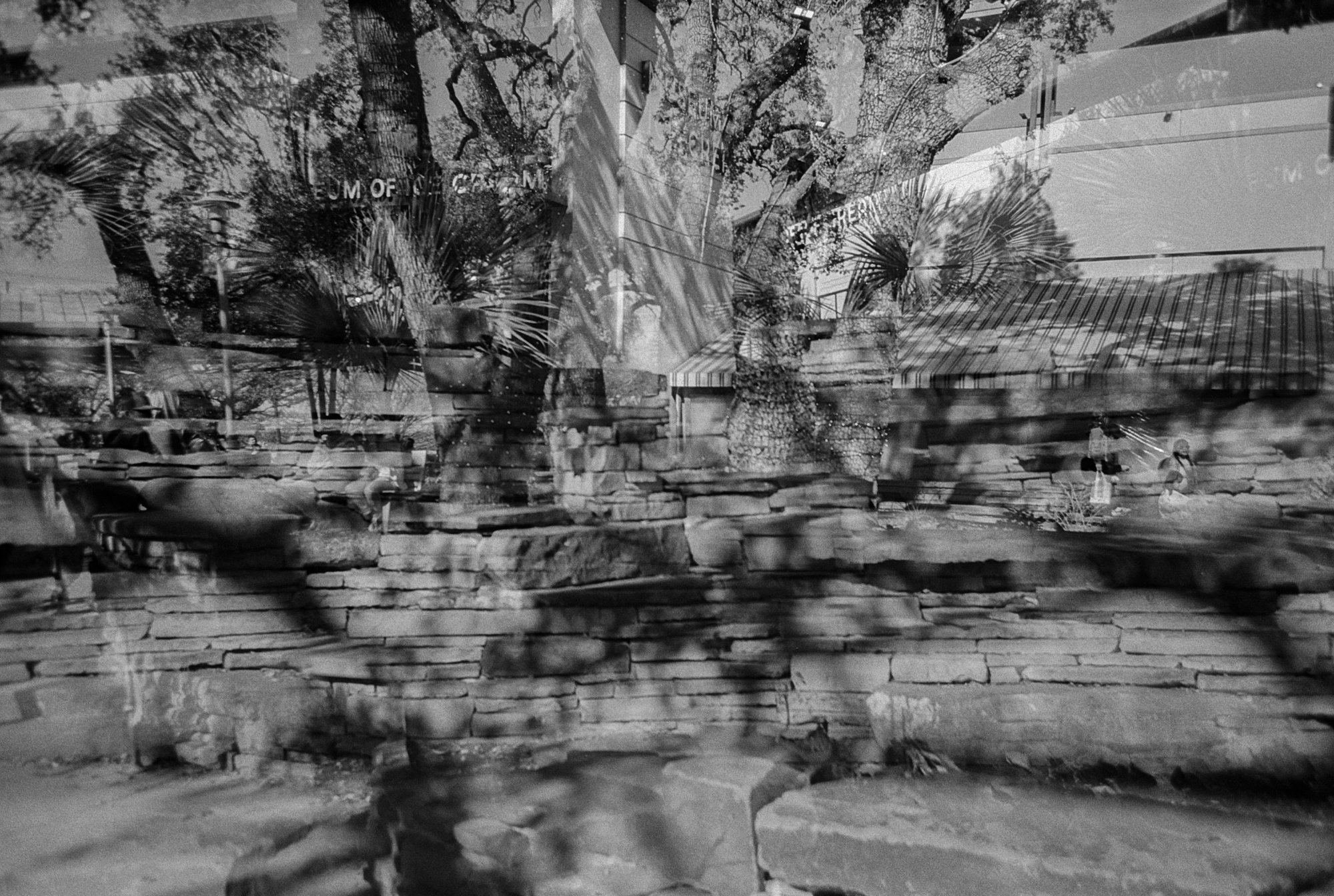 LOMO LCA trix domain jan 2023 (176 of 21).jpg