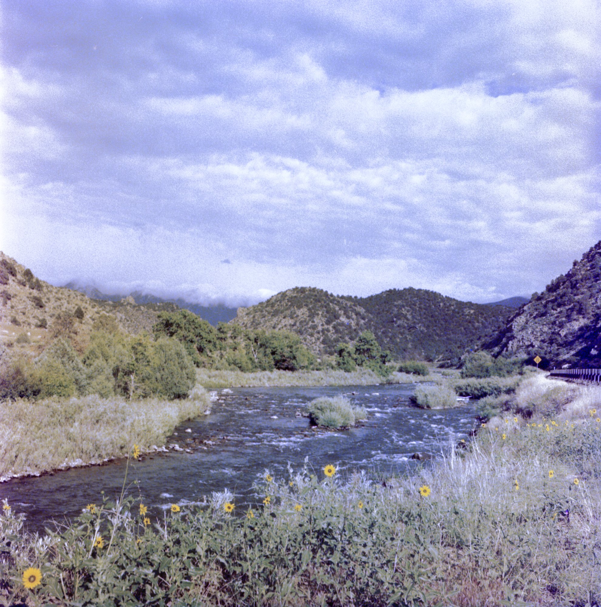 ITW 2022 Redrum hasselblad  (179 of 12).jpg