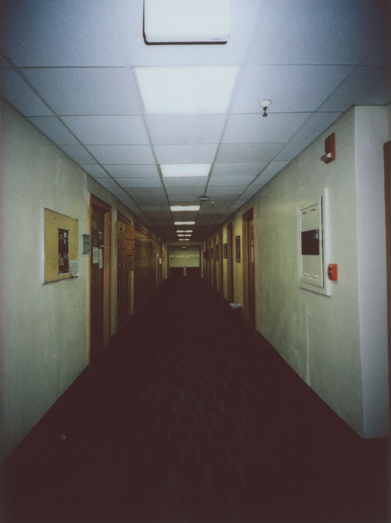 365 project 2023 feb instant film (182 of 27).jpg