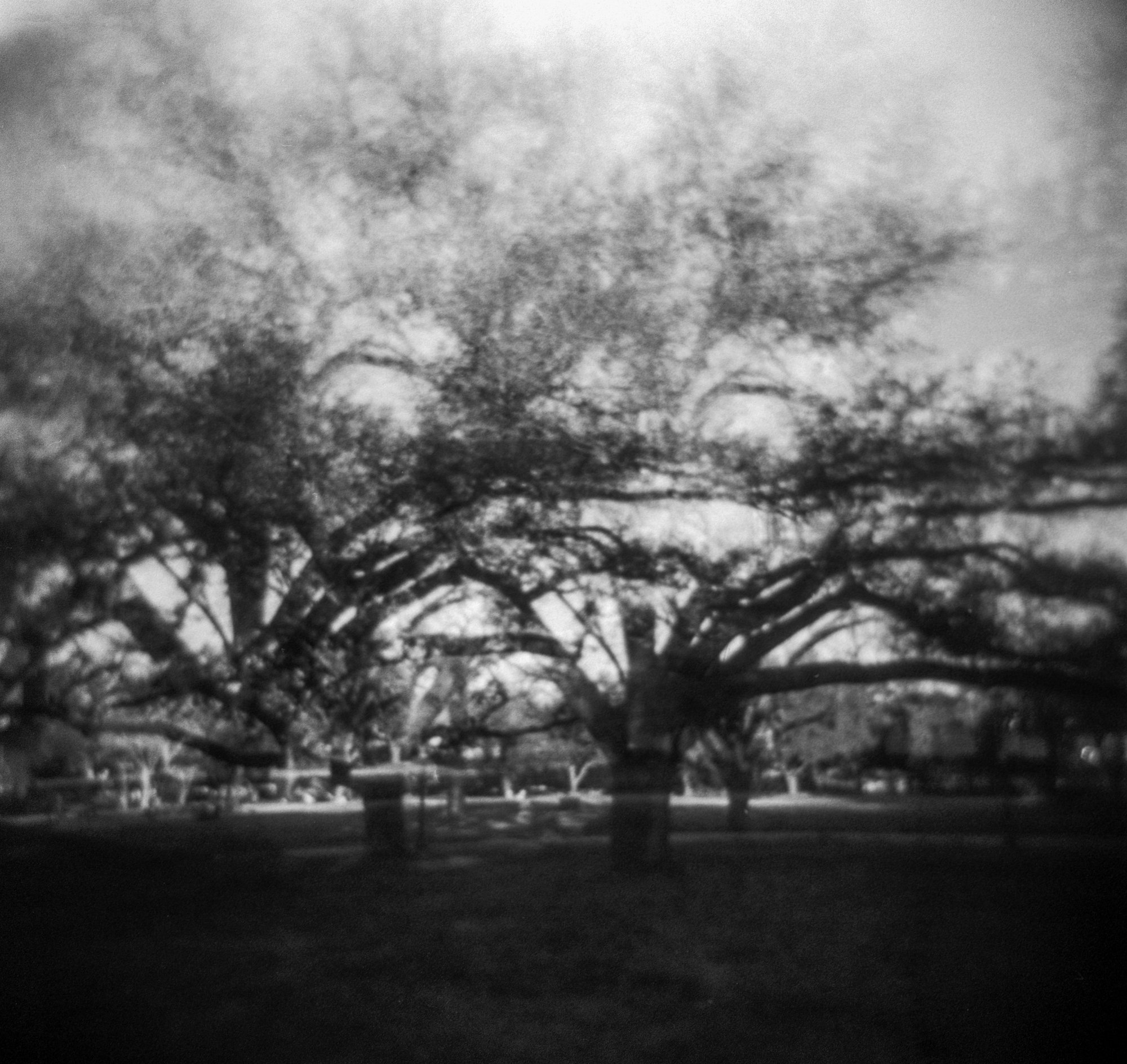 Frugal Film 2023 Feb Southwestern Campus 11 Feb (177 of 12).jpg