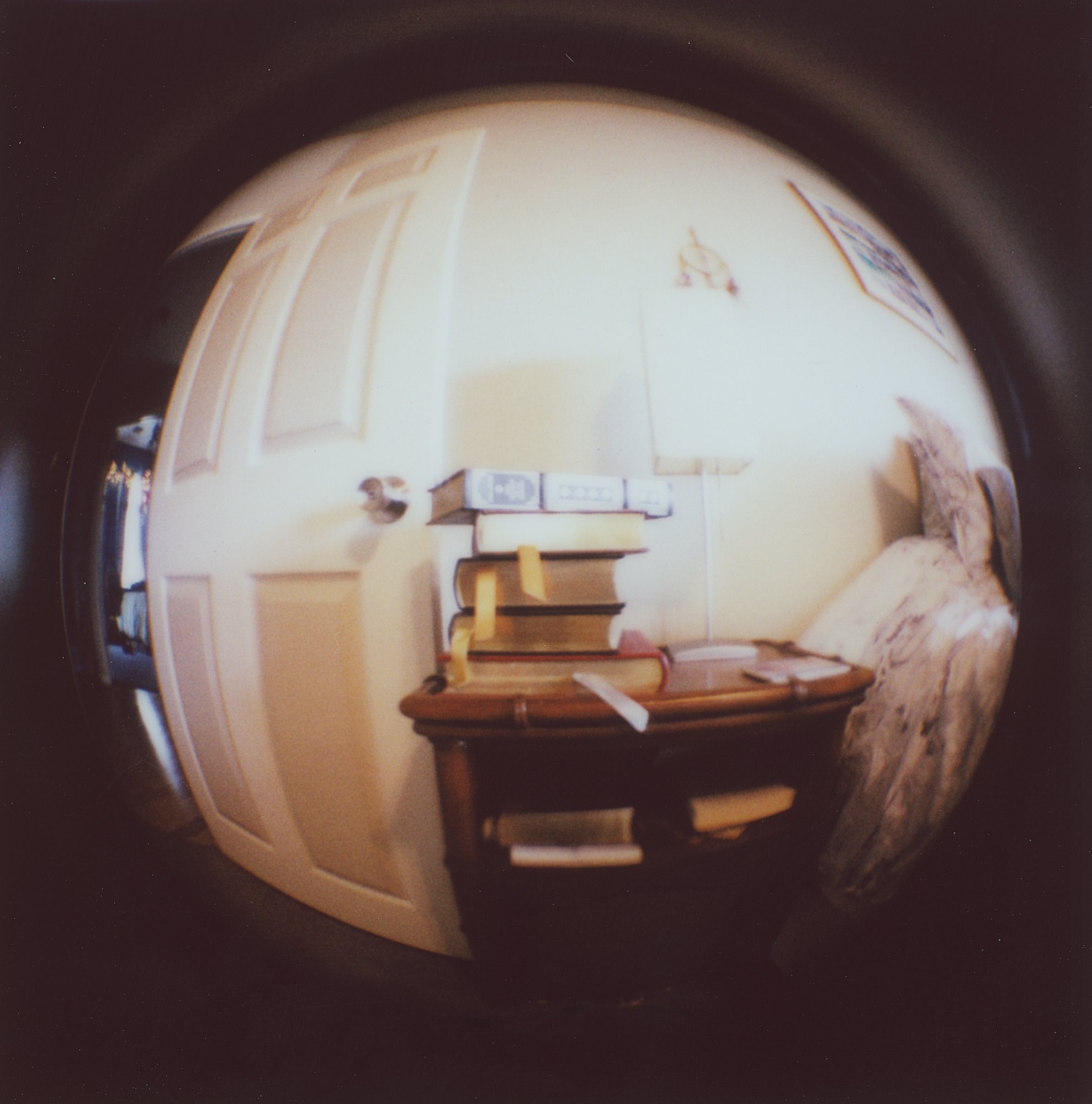 365 project 2023 feb instant film (194 of 27).jpg