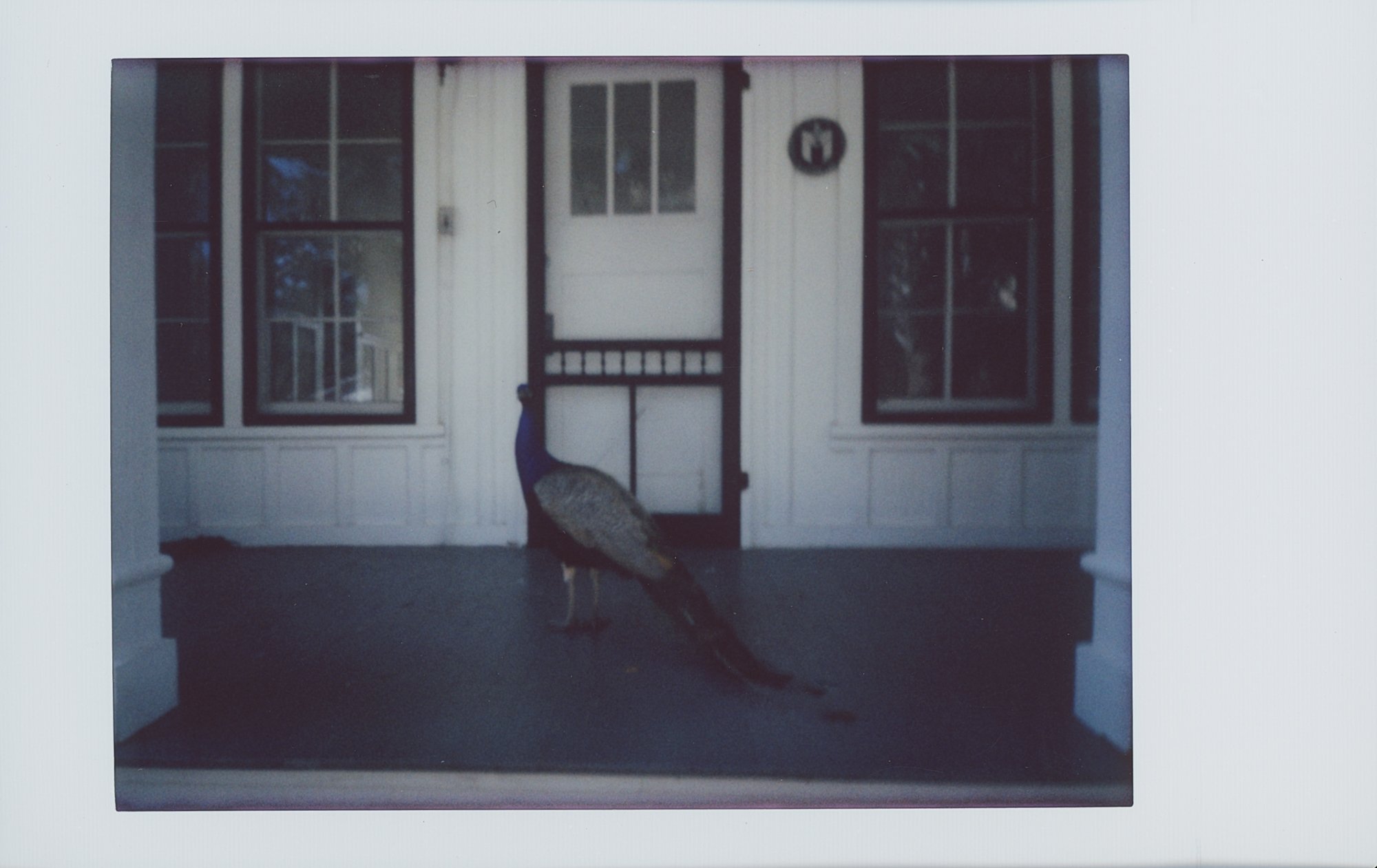 365 project feb 3 (172 of 15).jpg