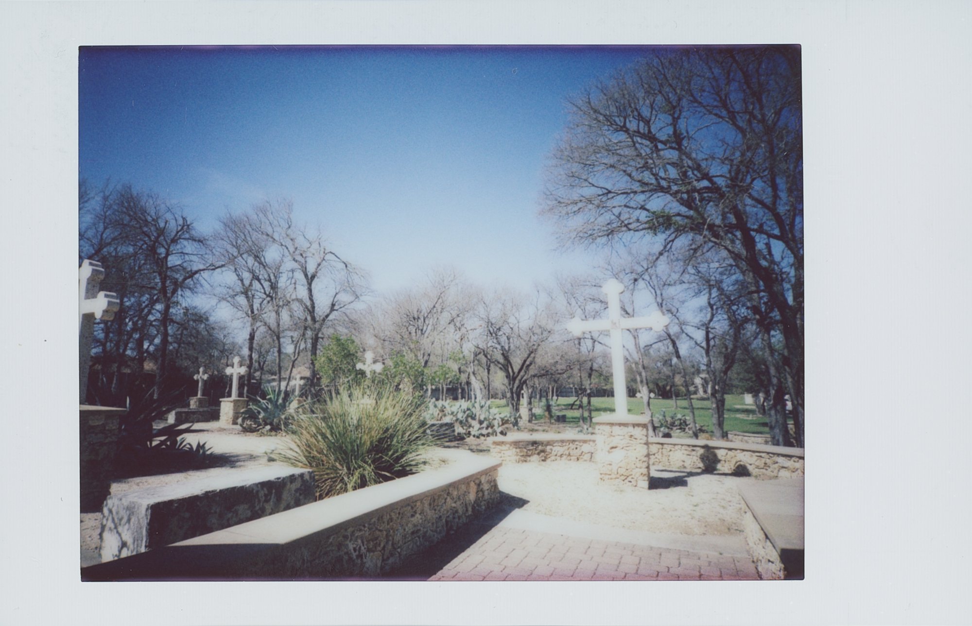 365 project feb 3 (177 of 15).jpg