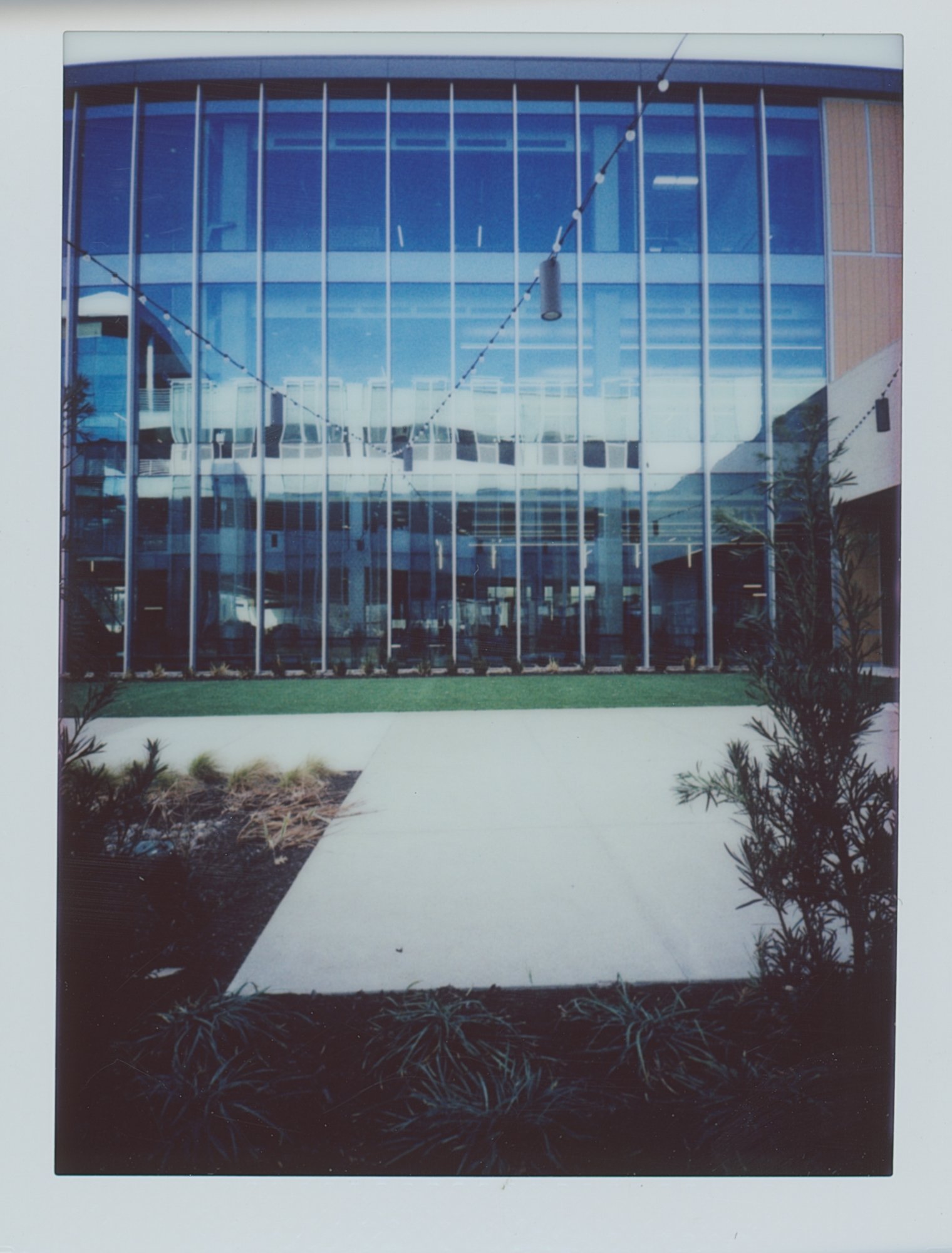 365 Feb instax mini 2023 (174 of 11).jpg