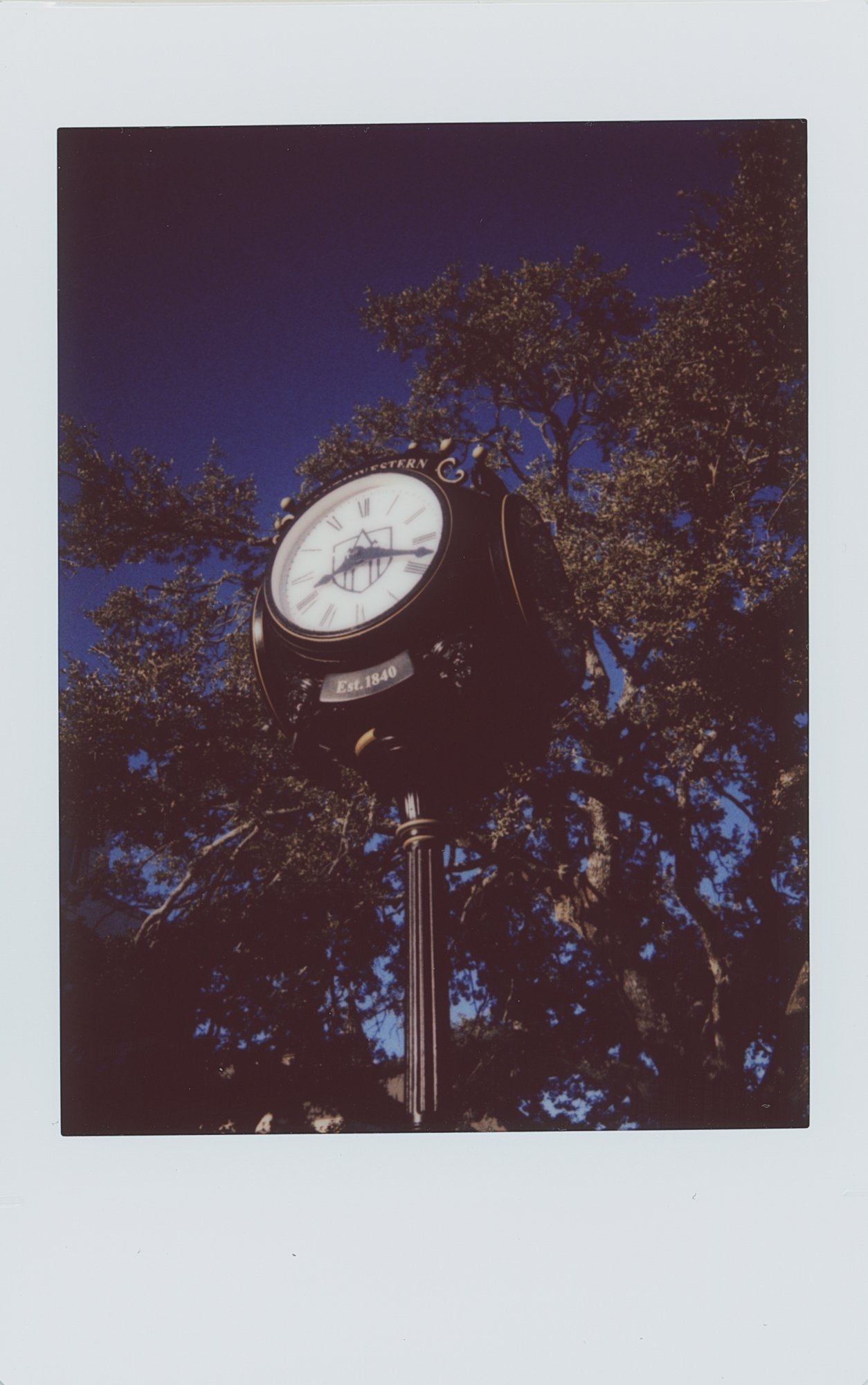 365 project 2023 feb instant film (180 of 27).jpg