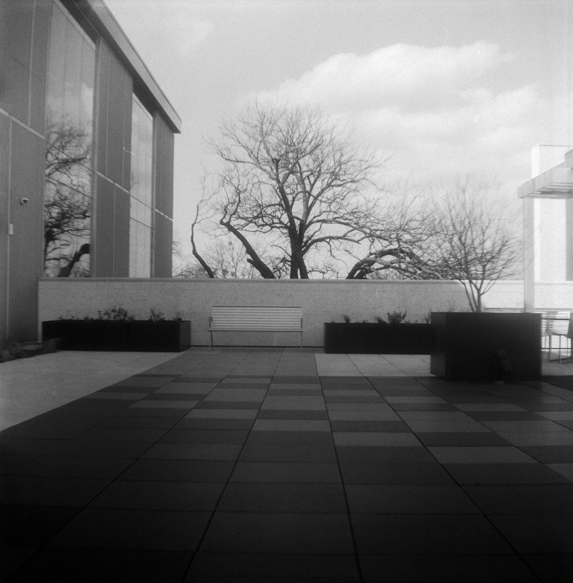 Brownie Arista rerolled test Feb 2023 (172 of 11).jpg