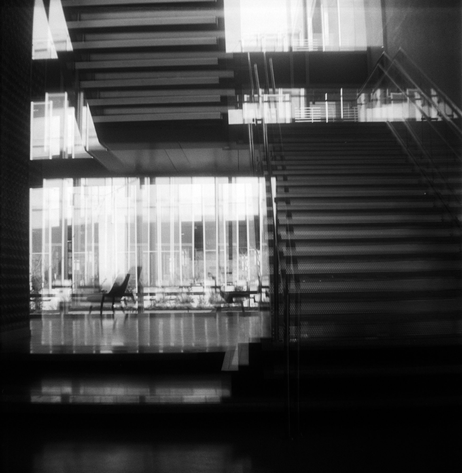 Brownie Arista rerolled test Feb 2023 (176 of 11).jpg