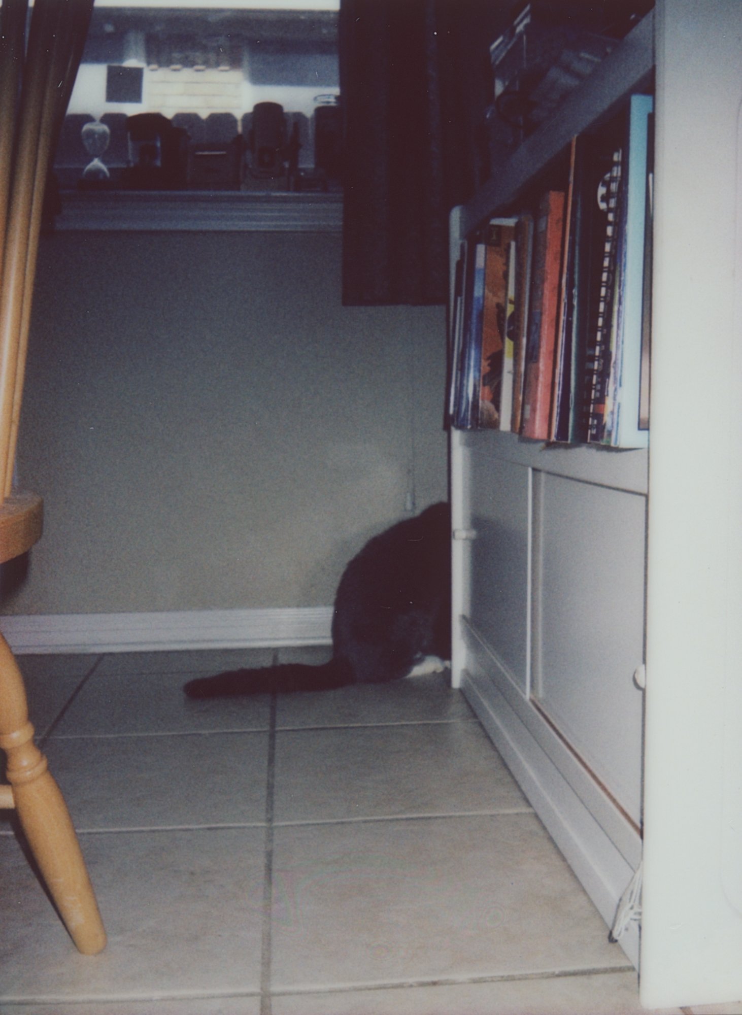 365 project 2023 feb instant film (168 of 27).jpg