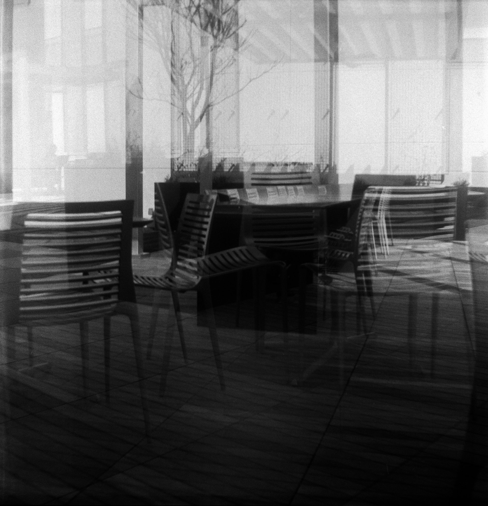 Brownie Arista rerolled test Feb 2023 (173 of 11).jpg