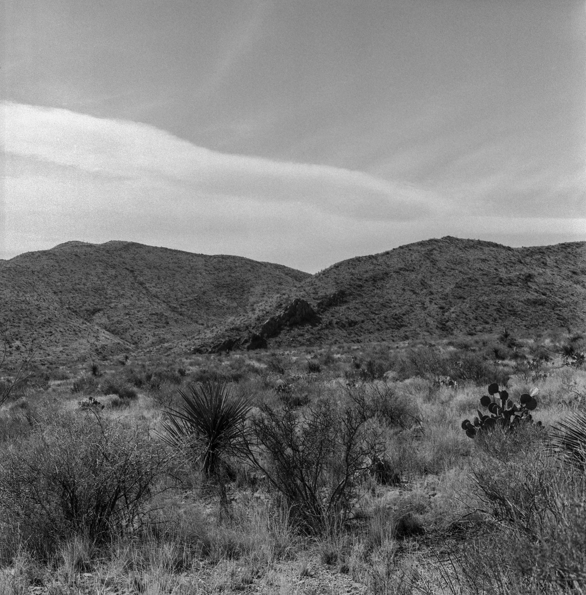 big bend 2023 arista blad itw (179 of 12).jpg