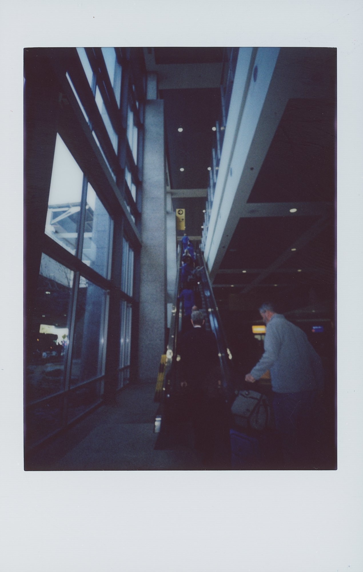 365 project feb 3 (181 of 15).jpg