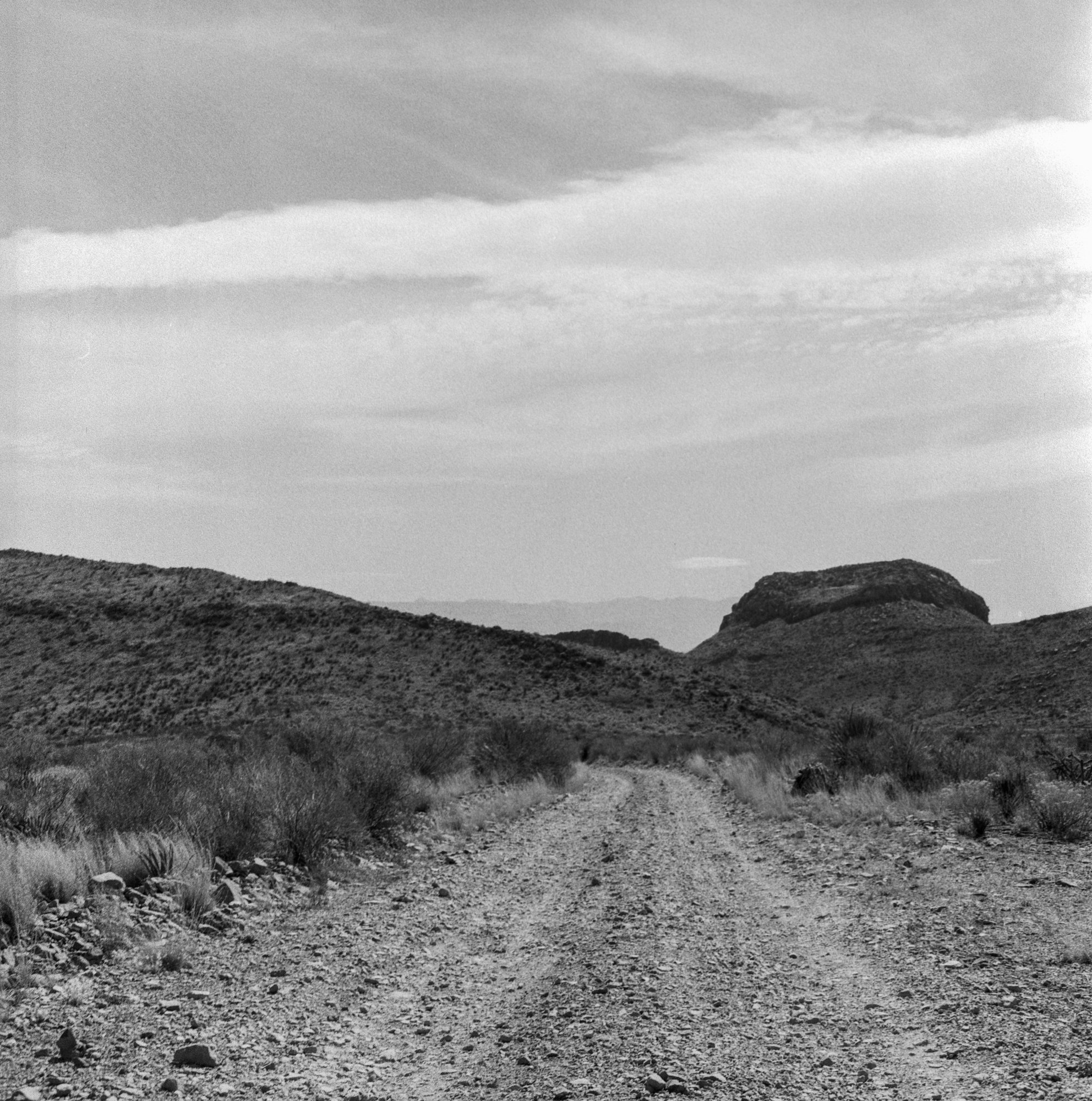 big bend 2023 arista blad itw (173 of 12).jpg