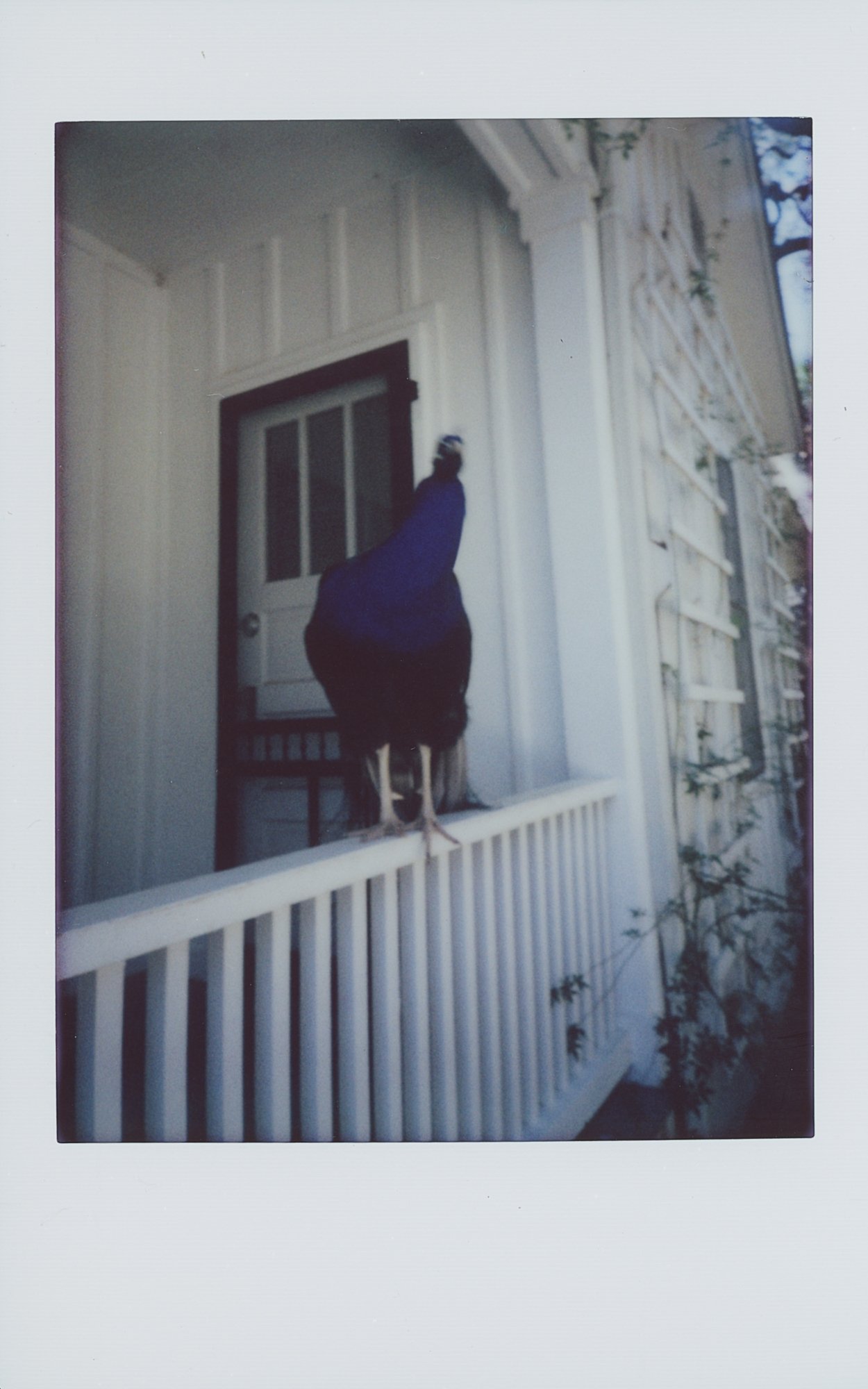 365 project feb 3 (176 of 15).jpg