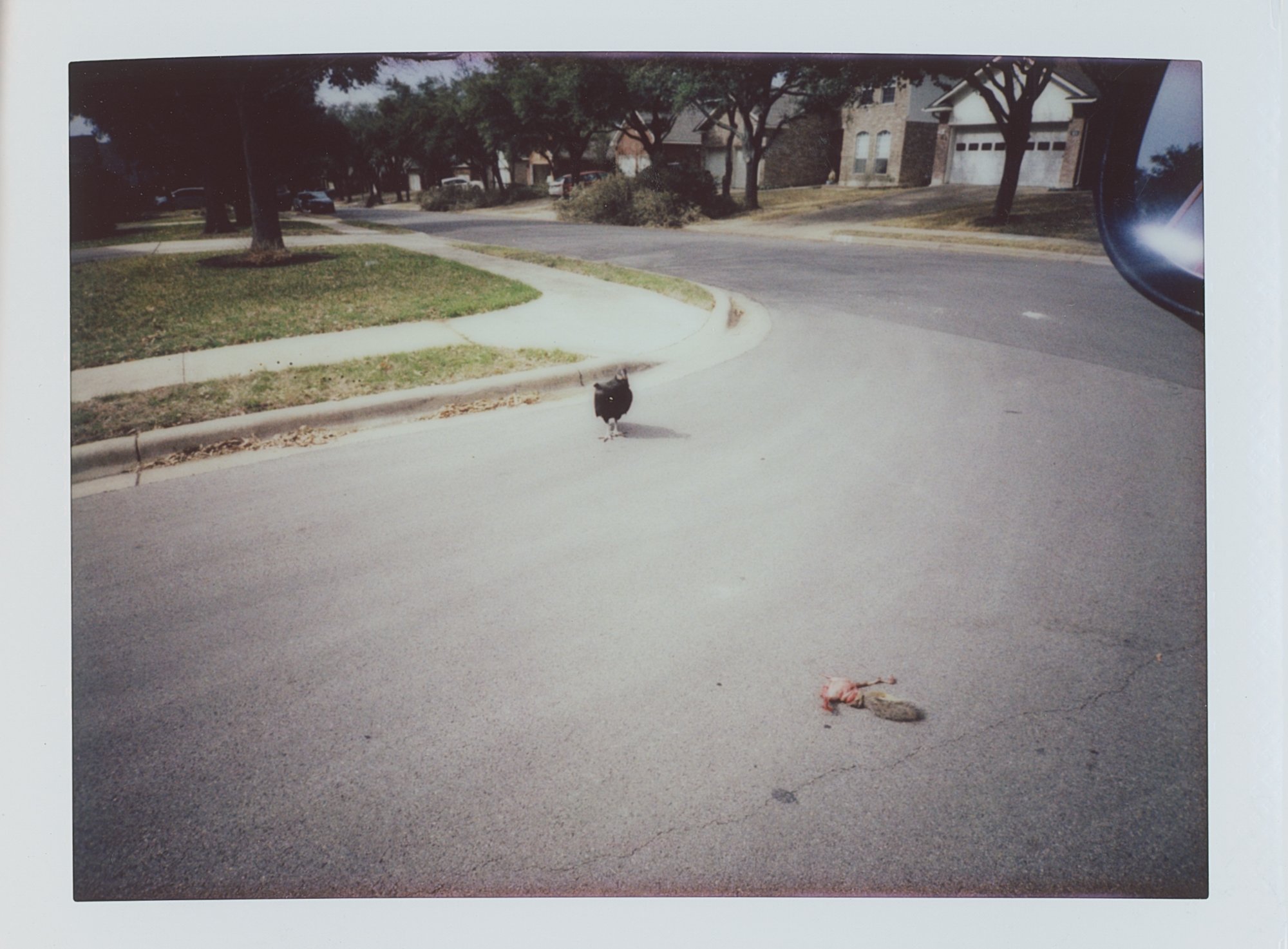 365 Feb instax mini 2023 (169 of 11).jpg