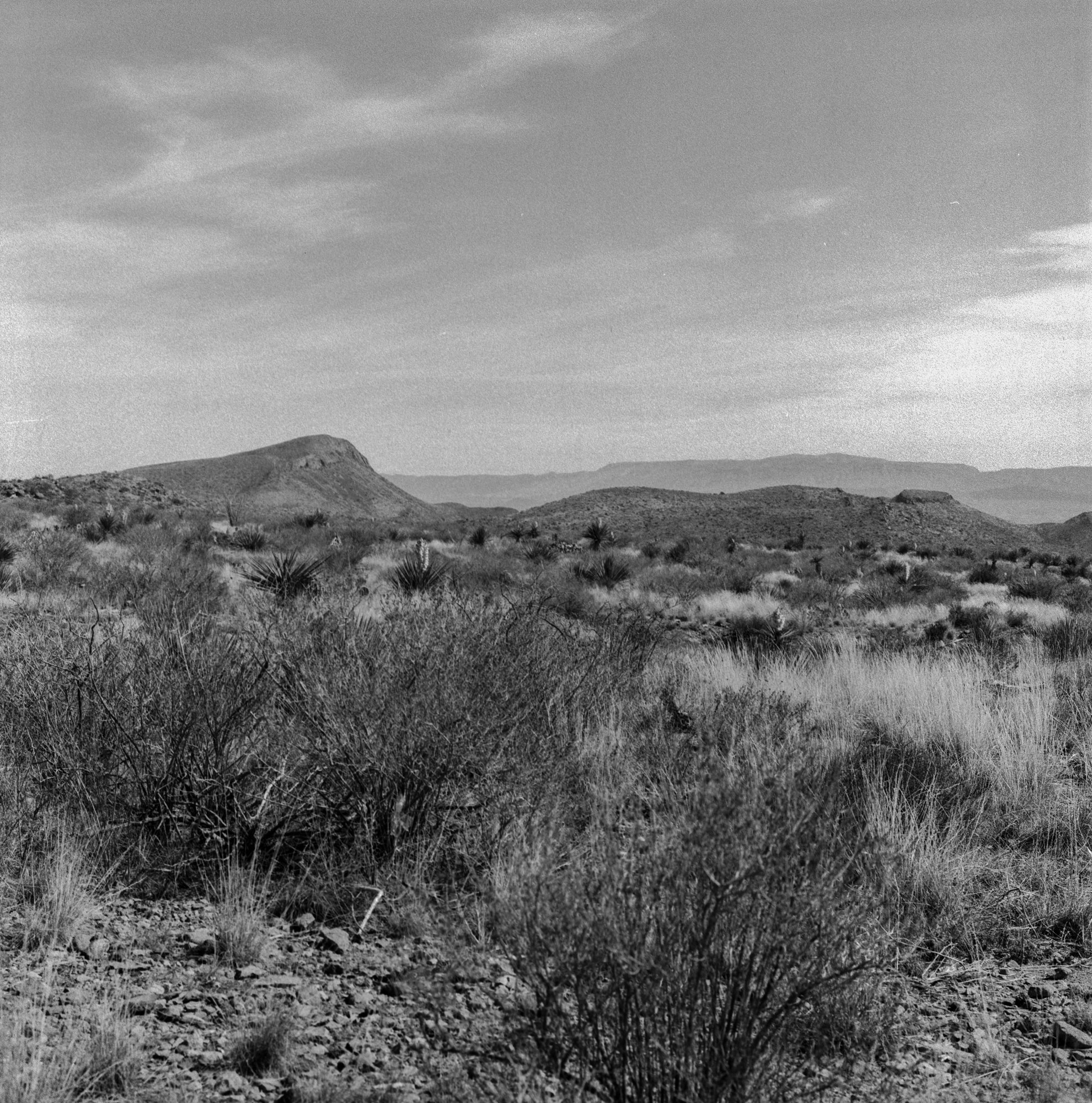 big bend 2023 arista blad itw (174 of 12).jpg