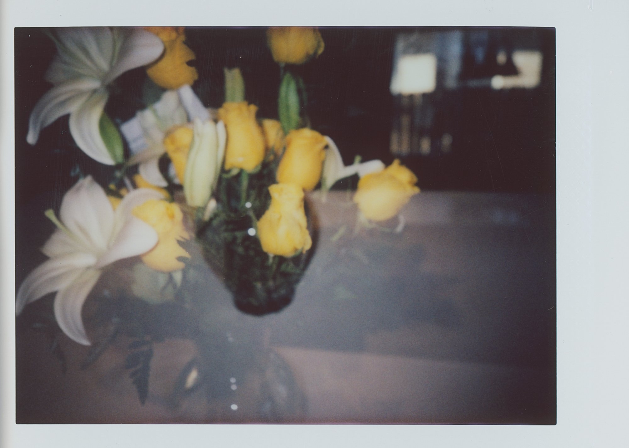 365 Feb instax mini 2023 (175 of 11).jpg