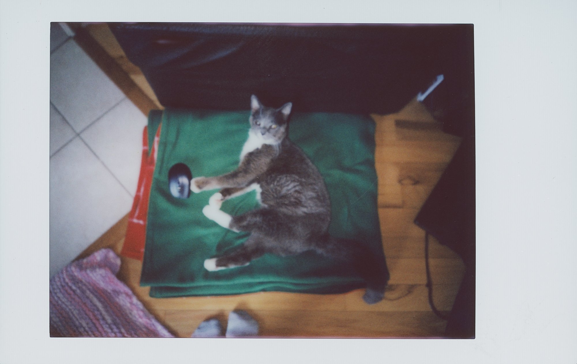 365 project feb 3 (171 of 15).jpg