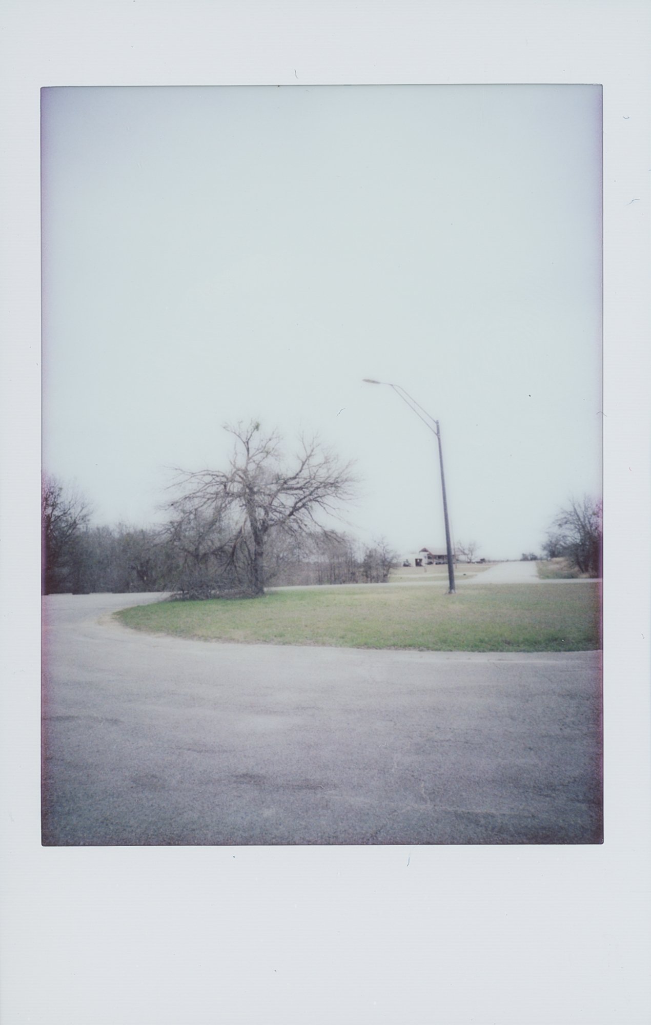 365 project feb 3 (178 of 15).jpg