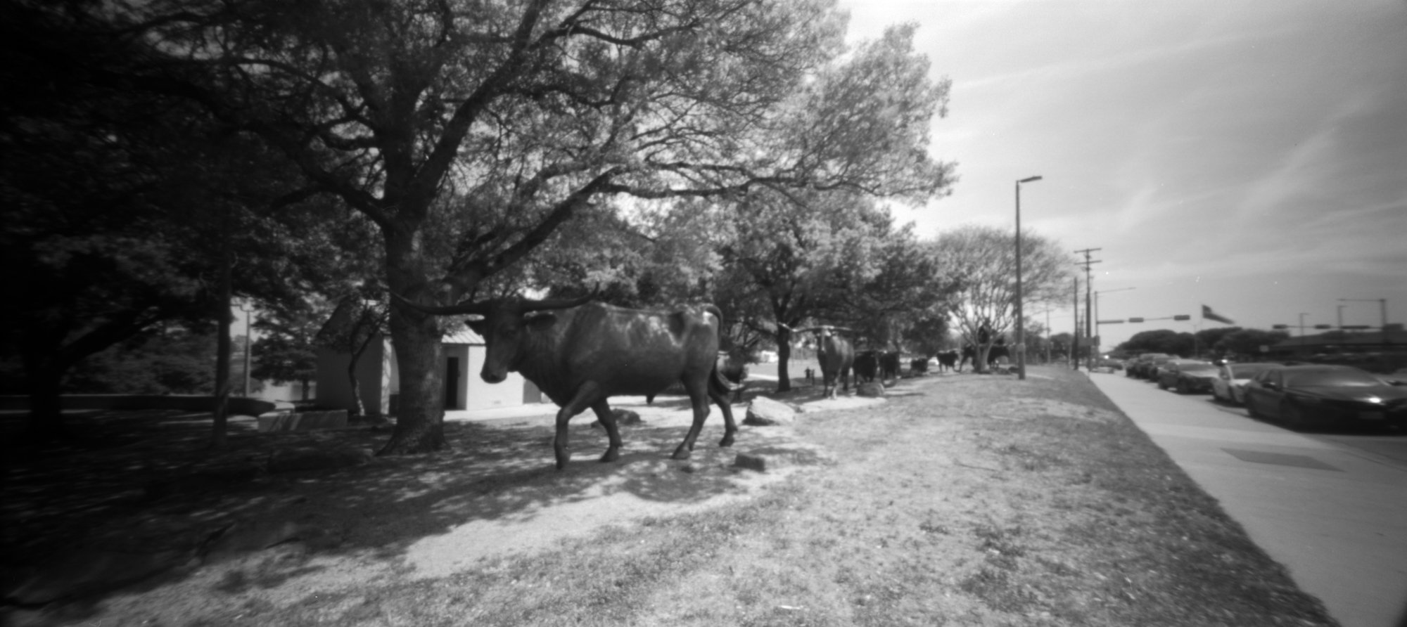waco holga pano pinhole 1 april (170 of 6).jpg