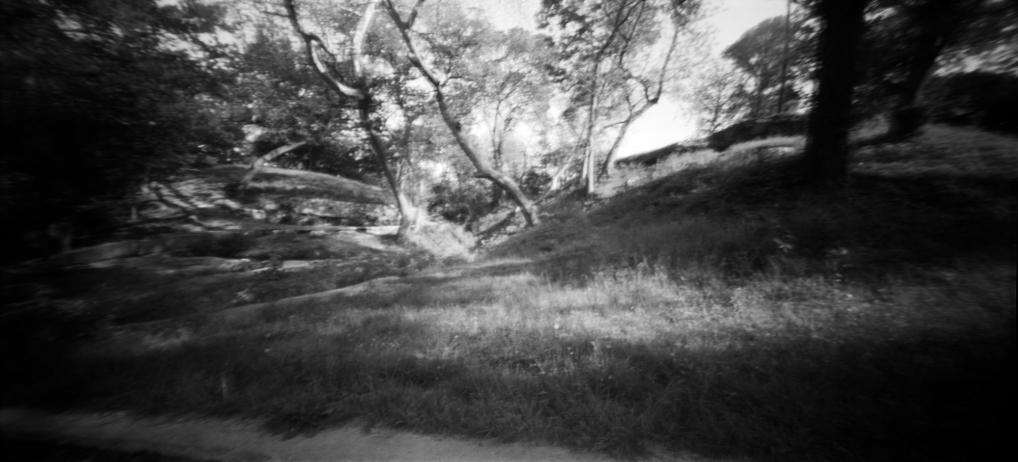 waco holga pano pinhole 1 april (169 of 5).jpg