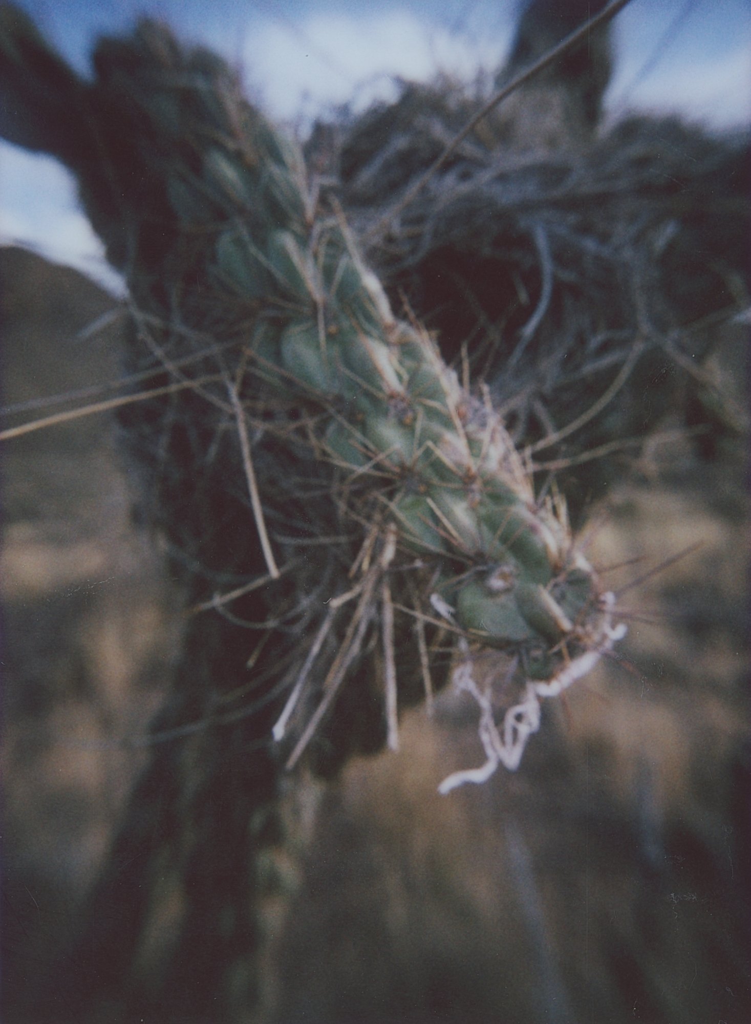March instax 2 and 3 (169 of 22).jpg