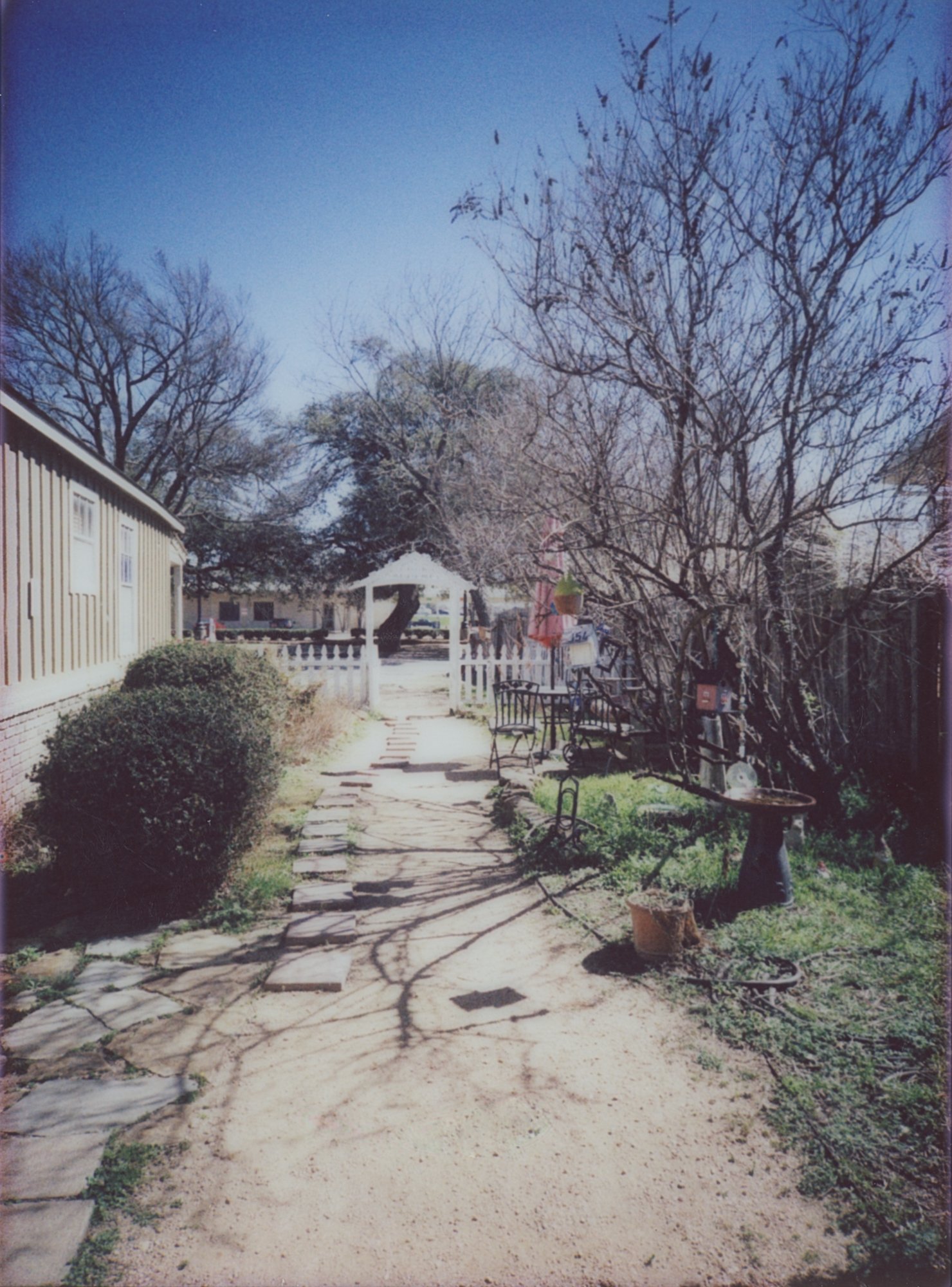 365 march 1 (174 of 11).jpg